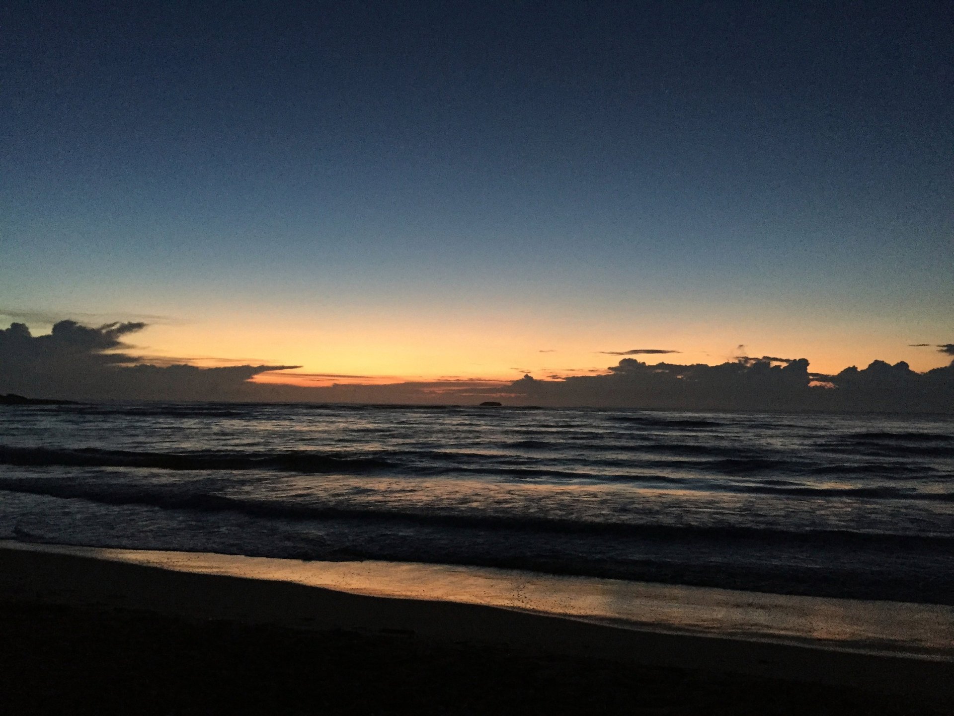 beach seashore during sunset