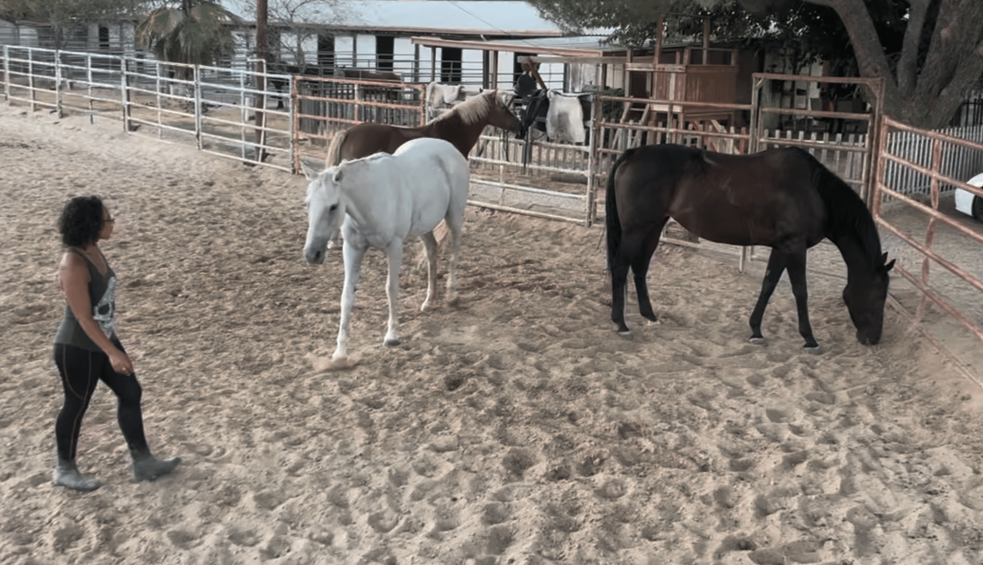 a person kneeling next to a horse on a beach