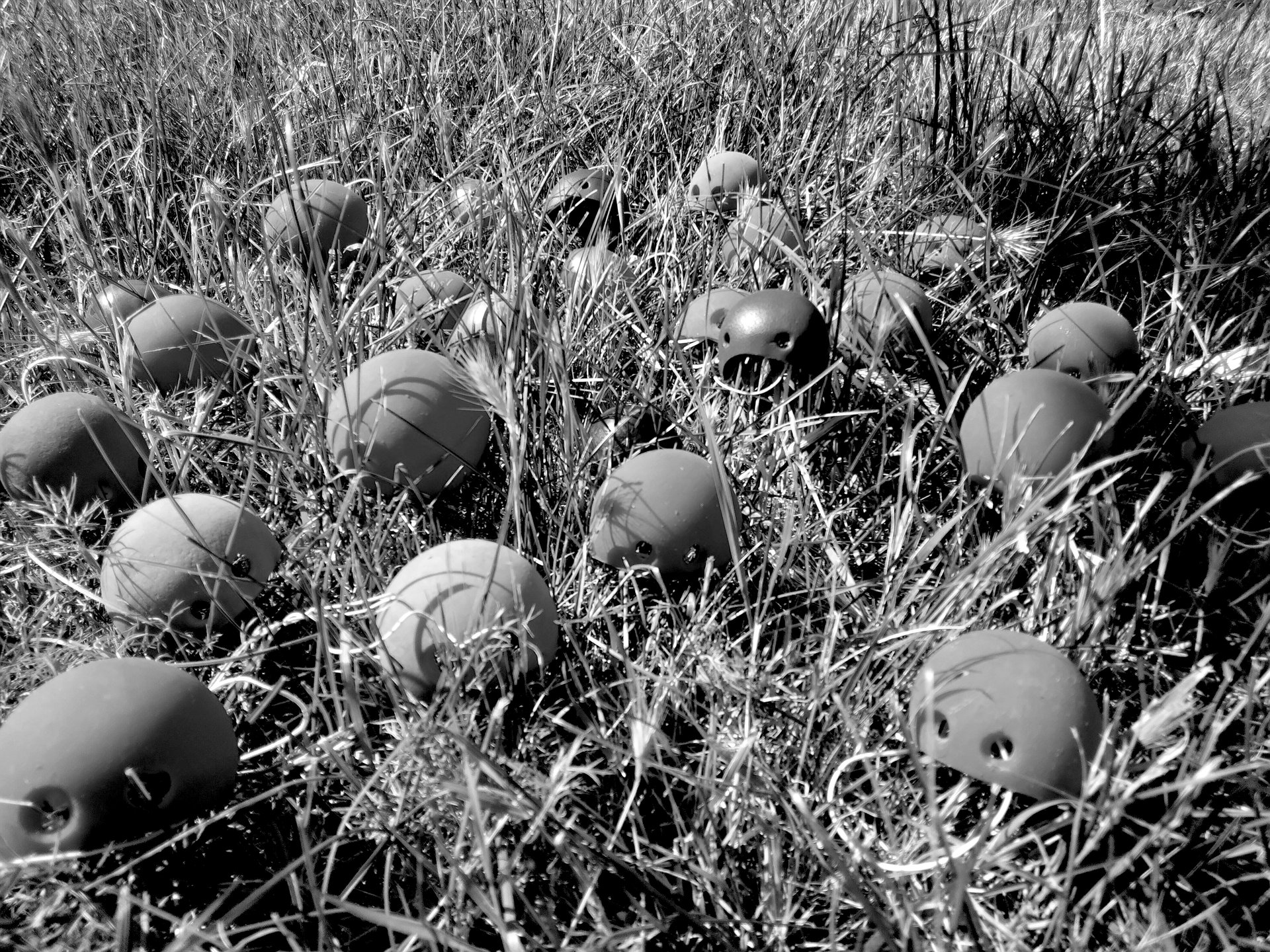 a group of people standing on top of a sandy beach