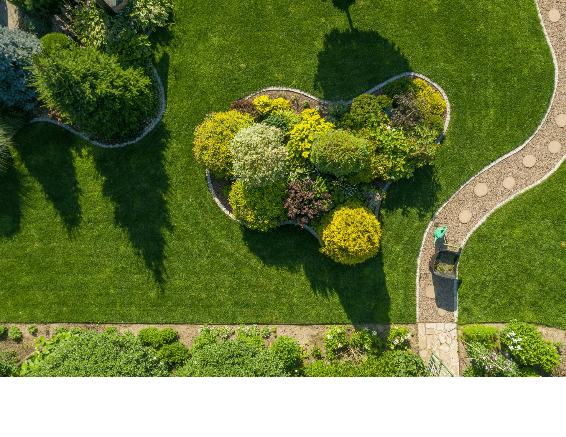 a tree in a park