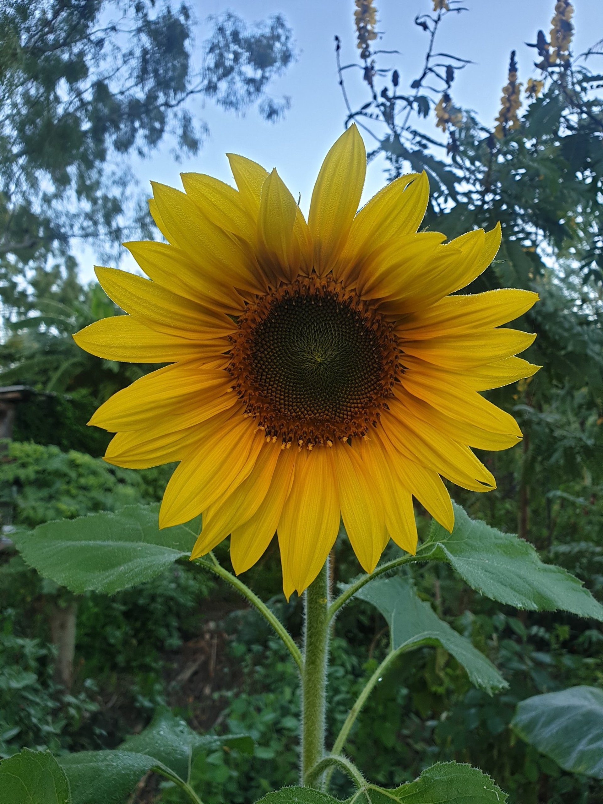 black beads on persons hand