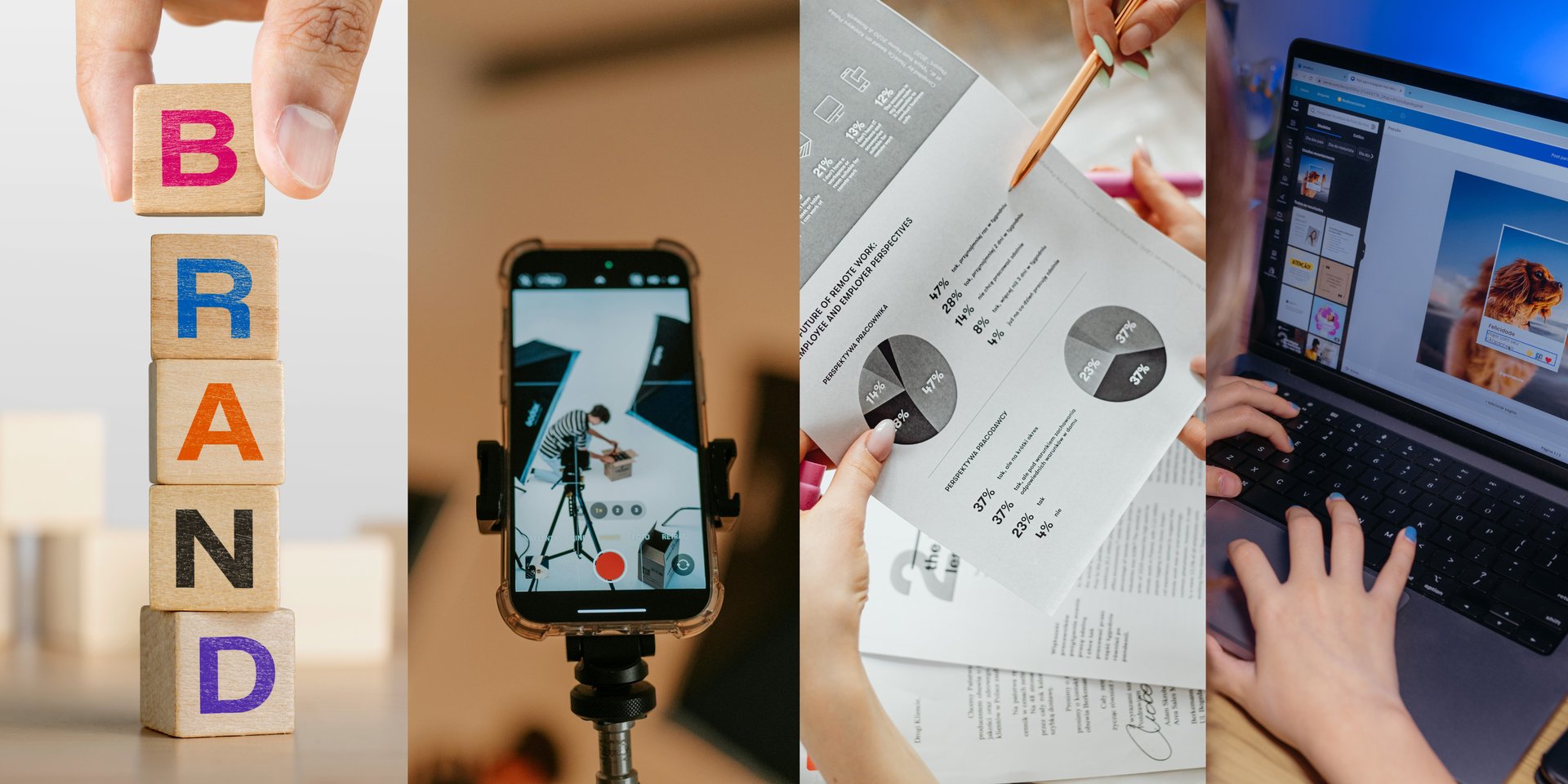 a glass chess board with a white horse on it