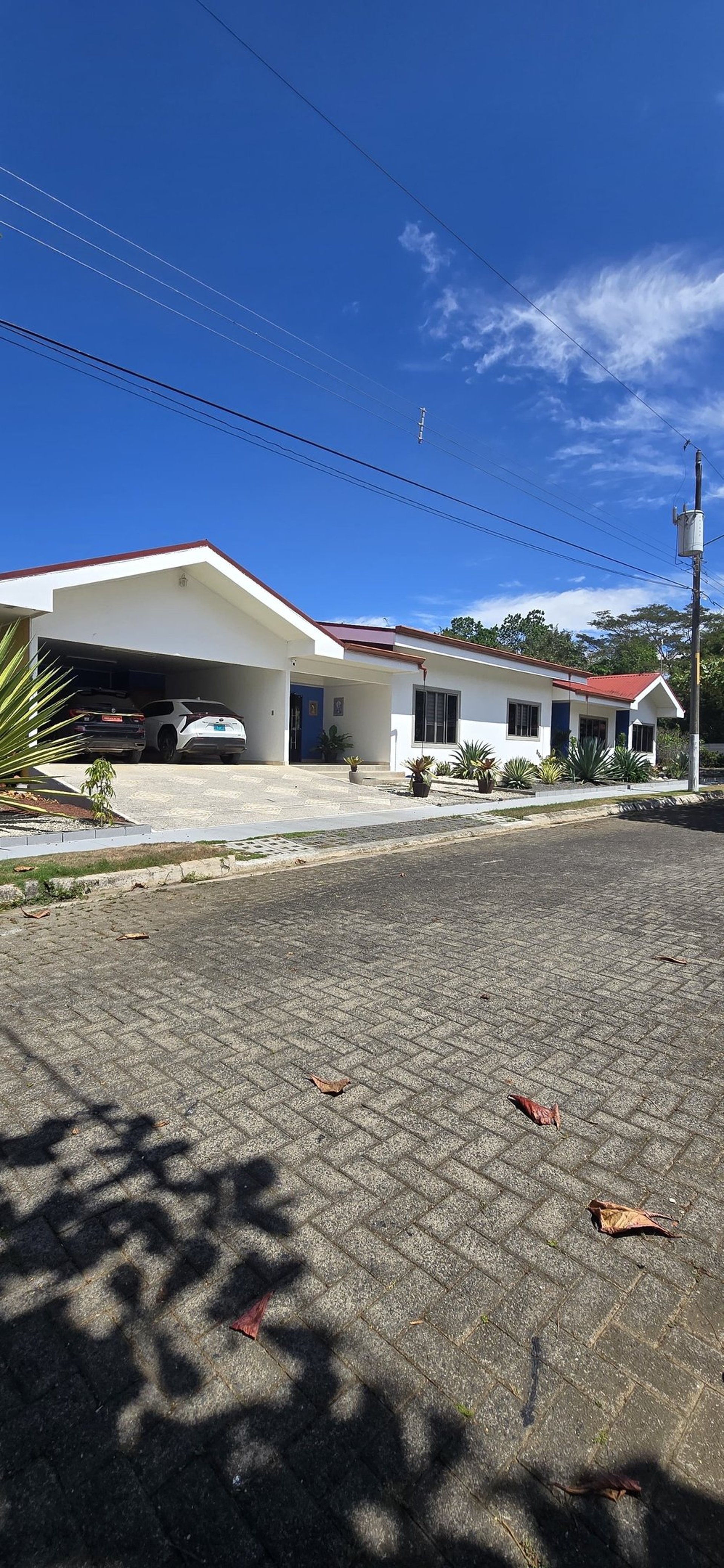 black and brown leather padded tub sofa