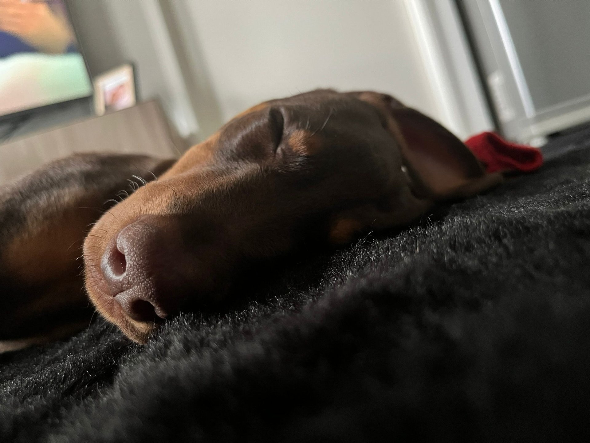 blue and white smoke illustration