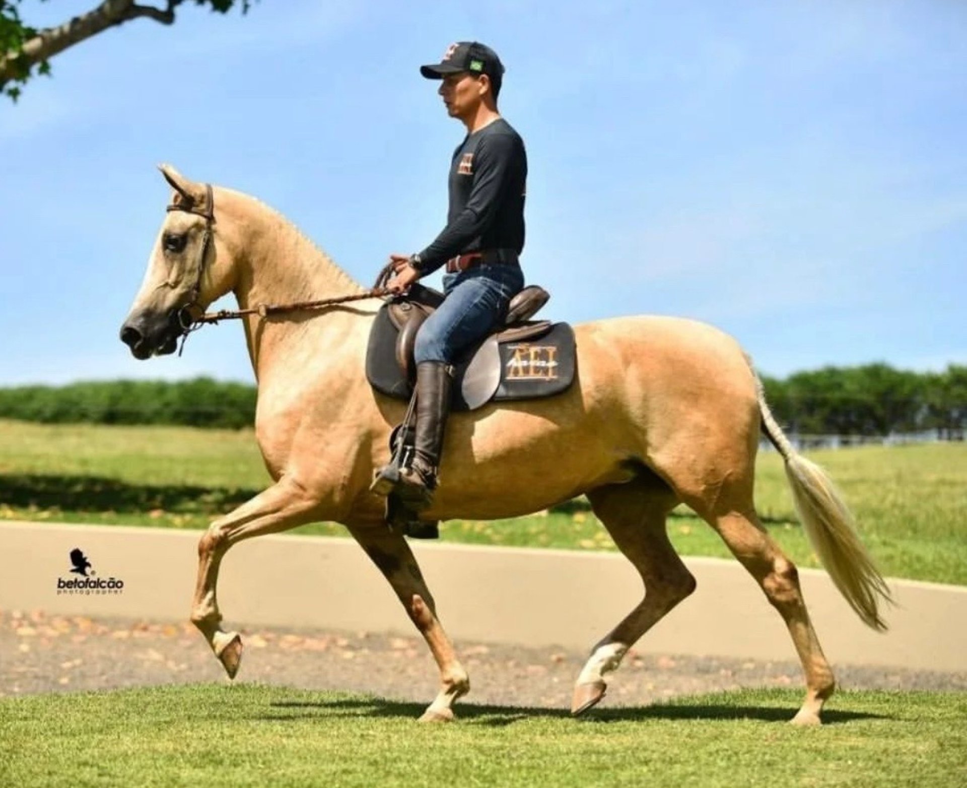 an abstract photo of a curved building with a blue sky in the background