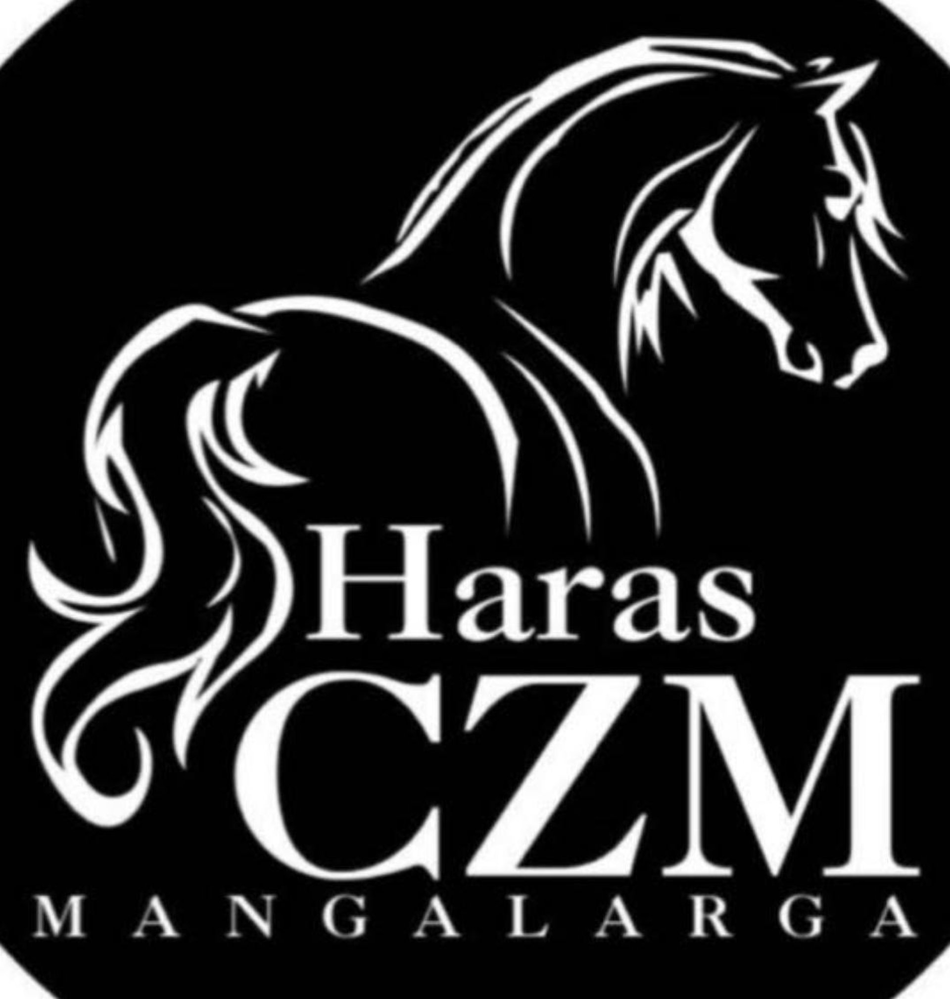 an abstract photo of a curved building with a blue sky in the background