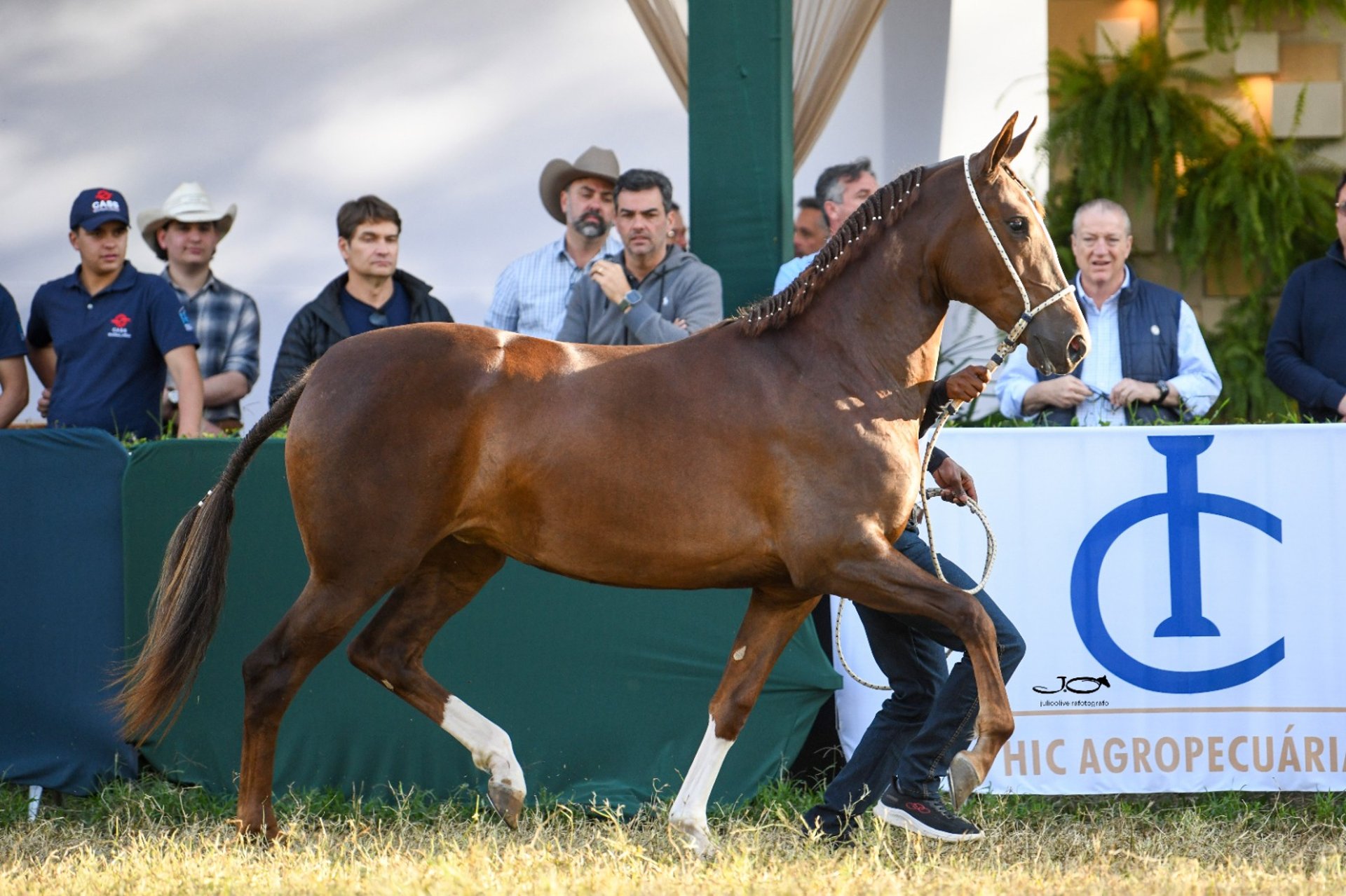 an abstract photo of a curved building with a blue sky in the background