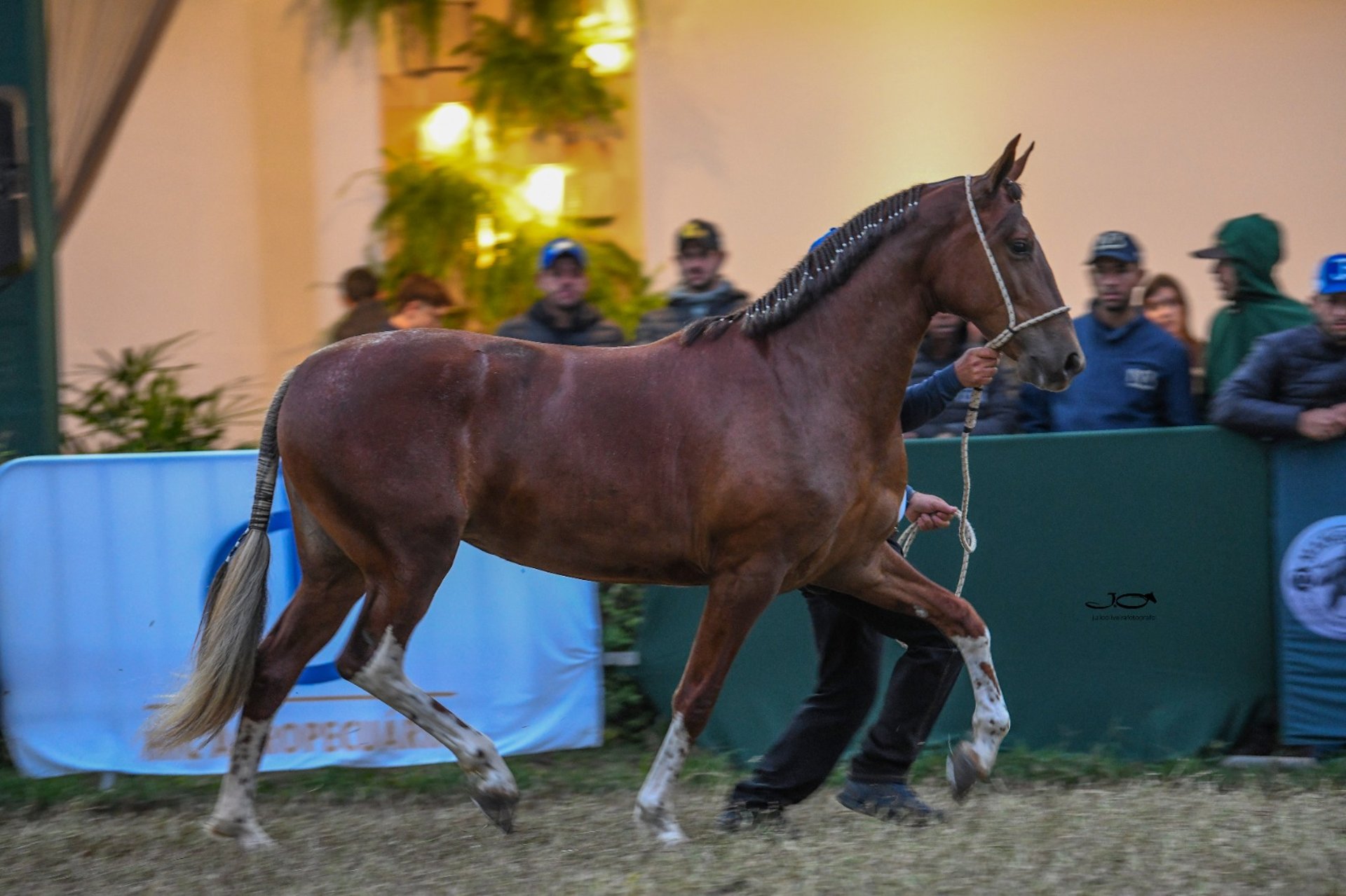 an abstract photo of a curved building with a blue sky in the background