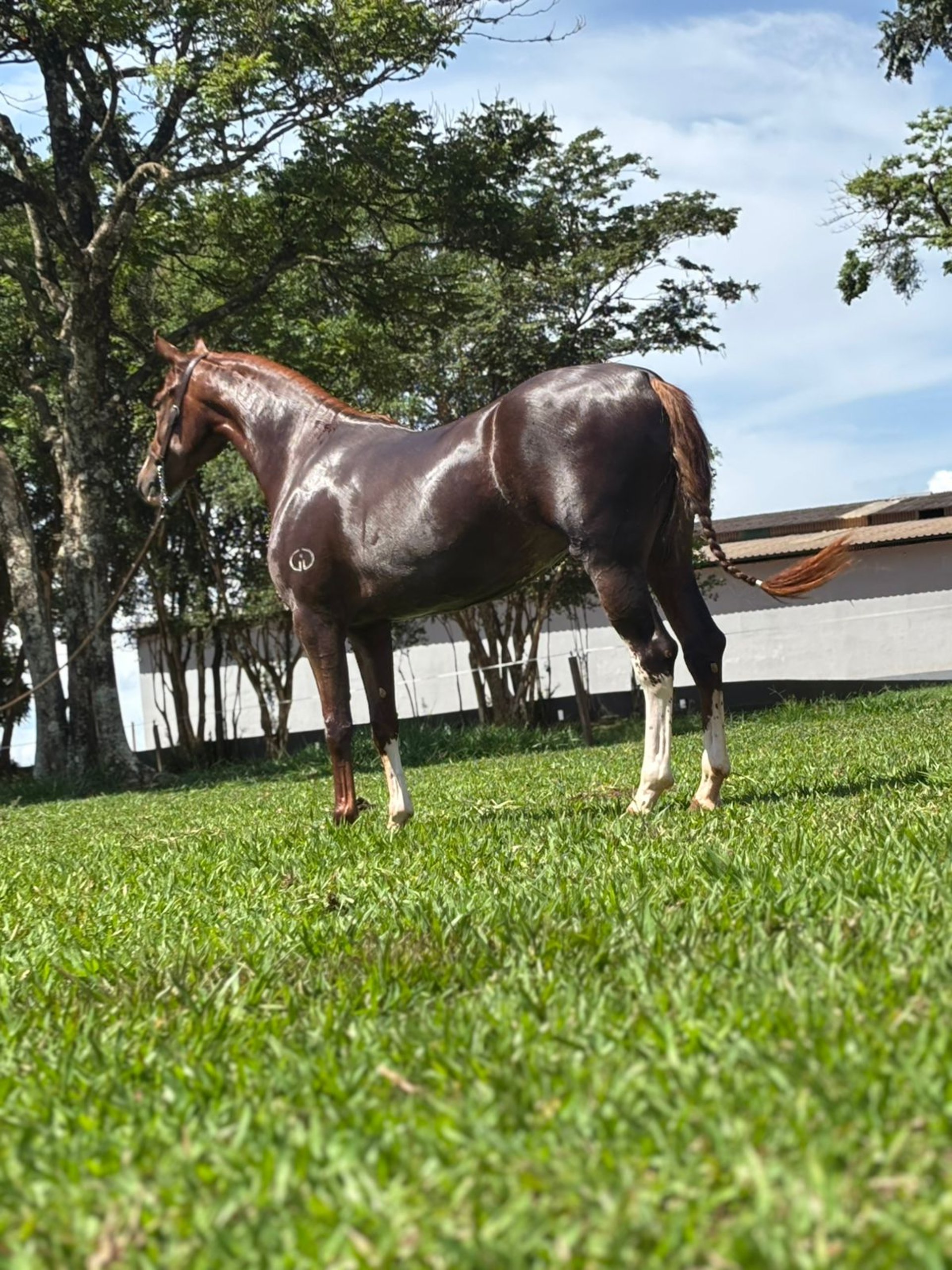 black blue and yellow textile