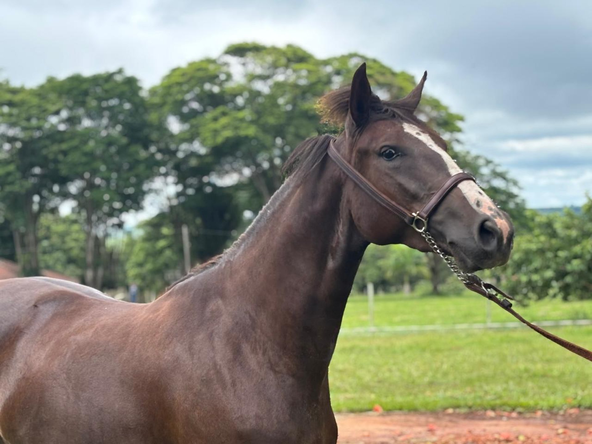 an abstract photo of a curved building with a blue sky in the background