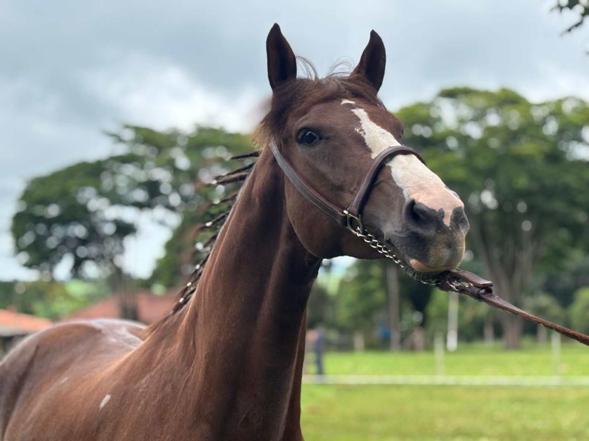 an abstract photo of a curved building with a blue sky in the background
