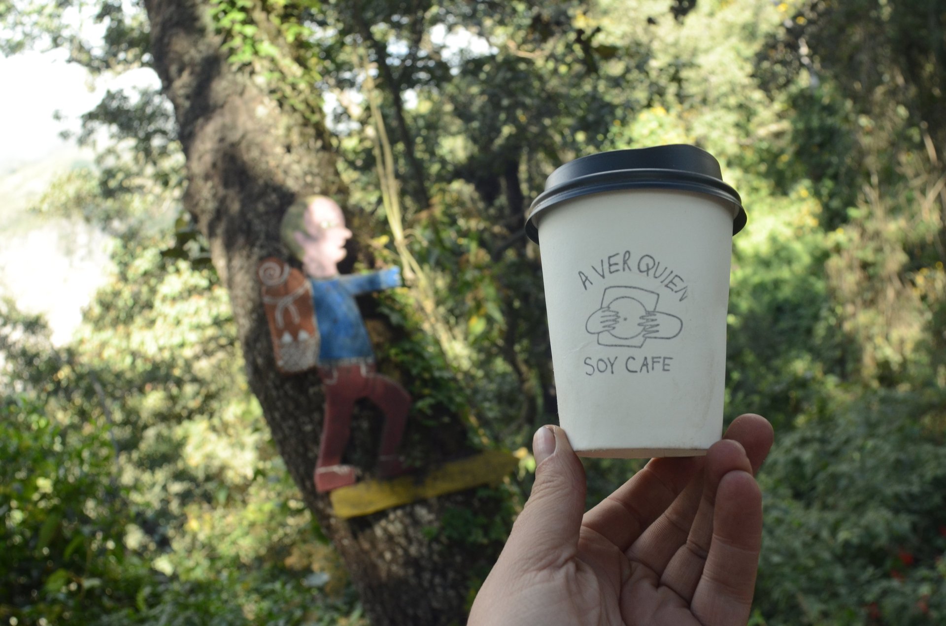 coffee cup in nature, volcano coffee.