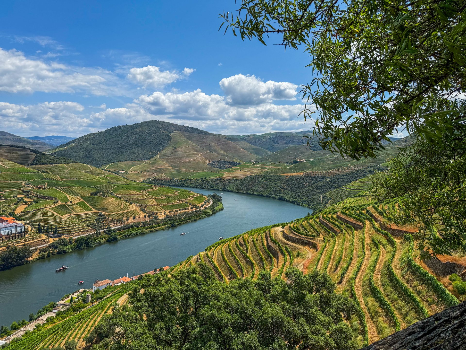 a large body of water surrounded by a lush green hillside