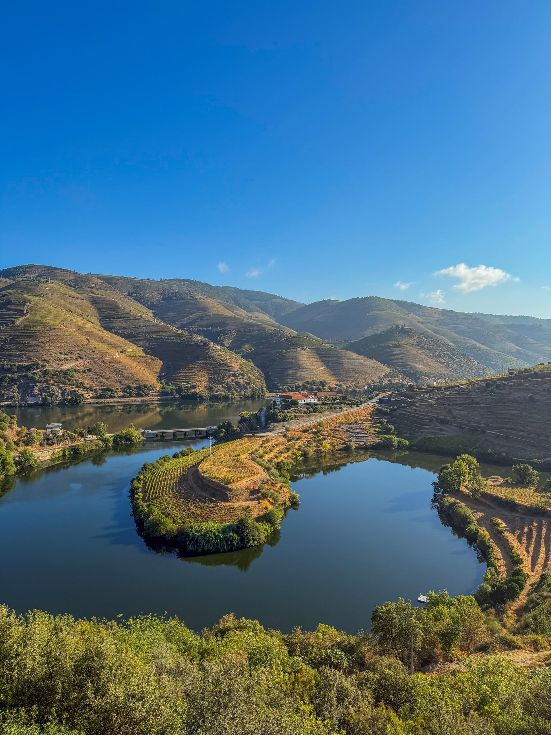 a large body of water surrounded by a lush green hillside