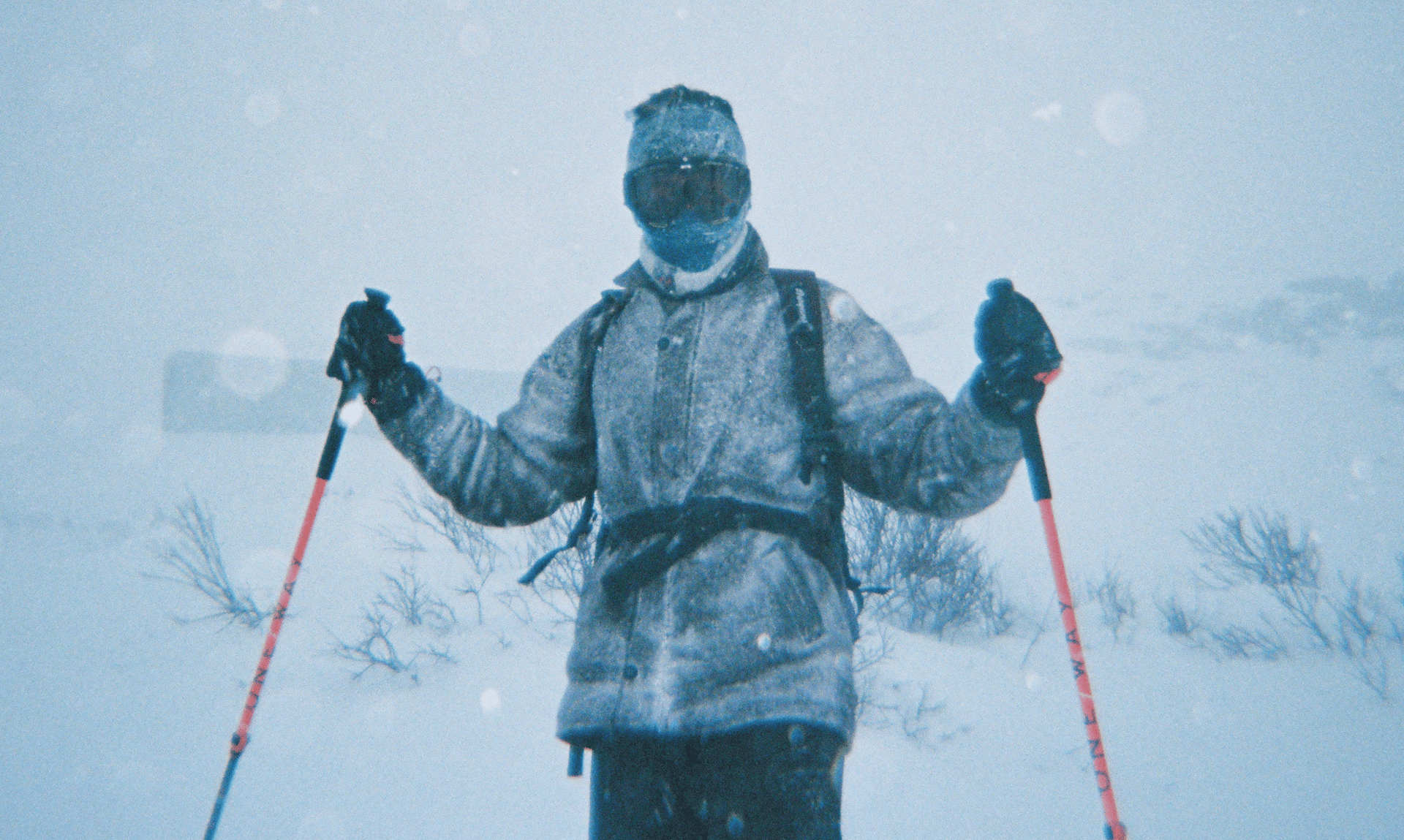 four assorted-color otps