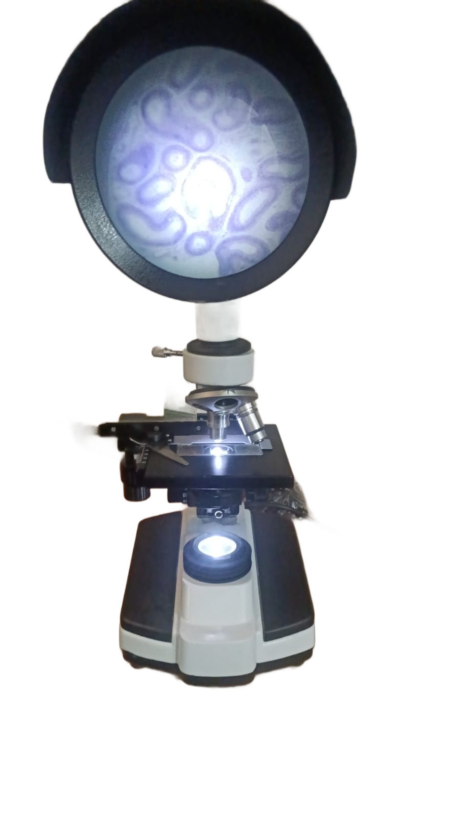 PROJECTION MICROSCOPE