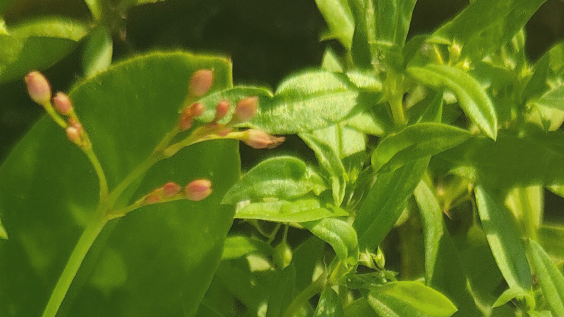 an abstract photo of a curved building with a blue sky in the background