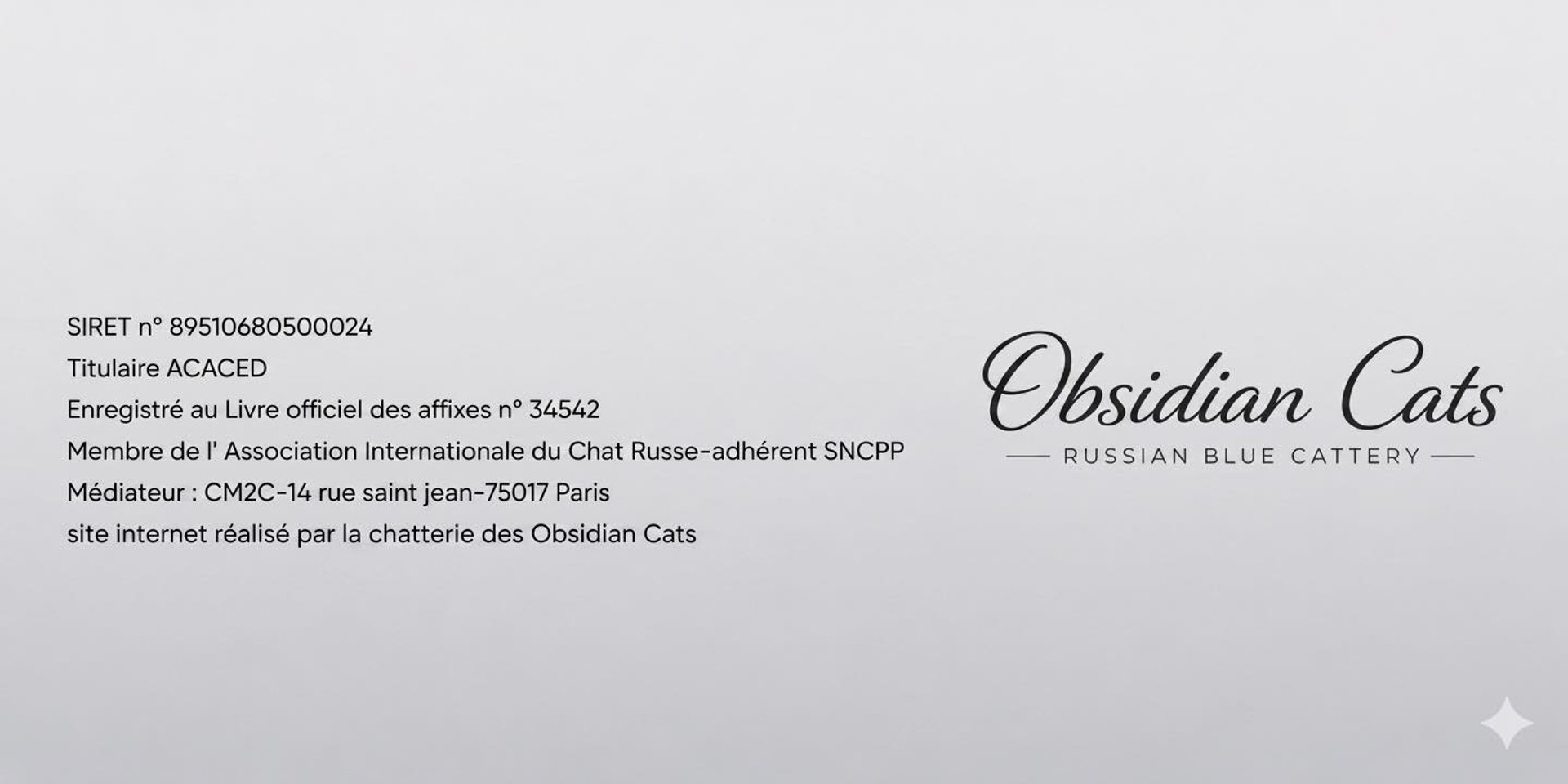 FOOTER OBSIDIAN CATS INFORMATION LEGALE