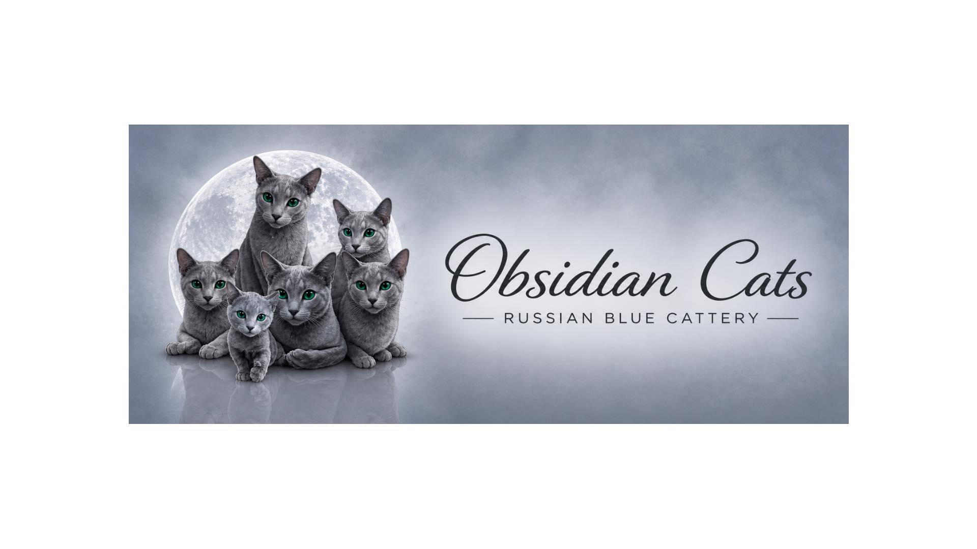 hero obsidian cats logo chatterie