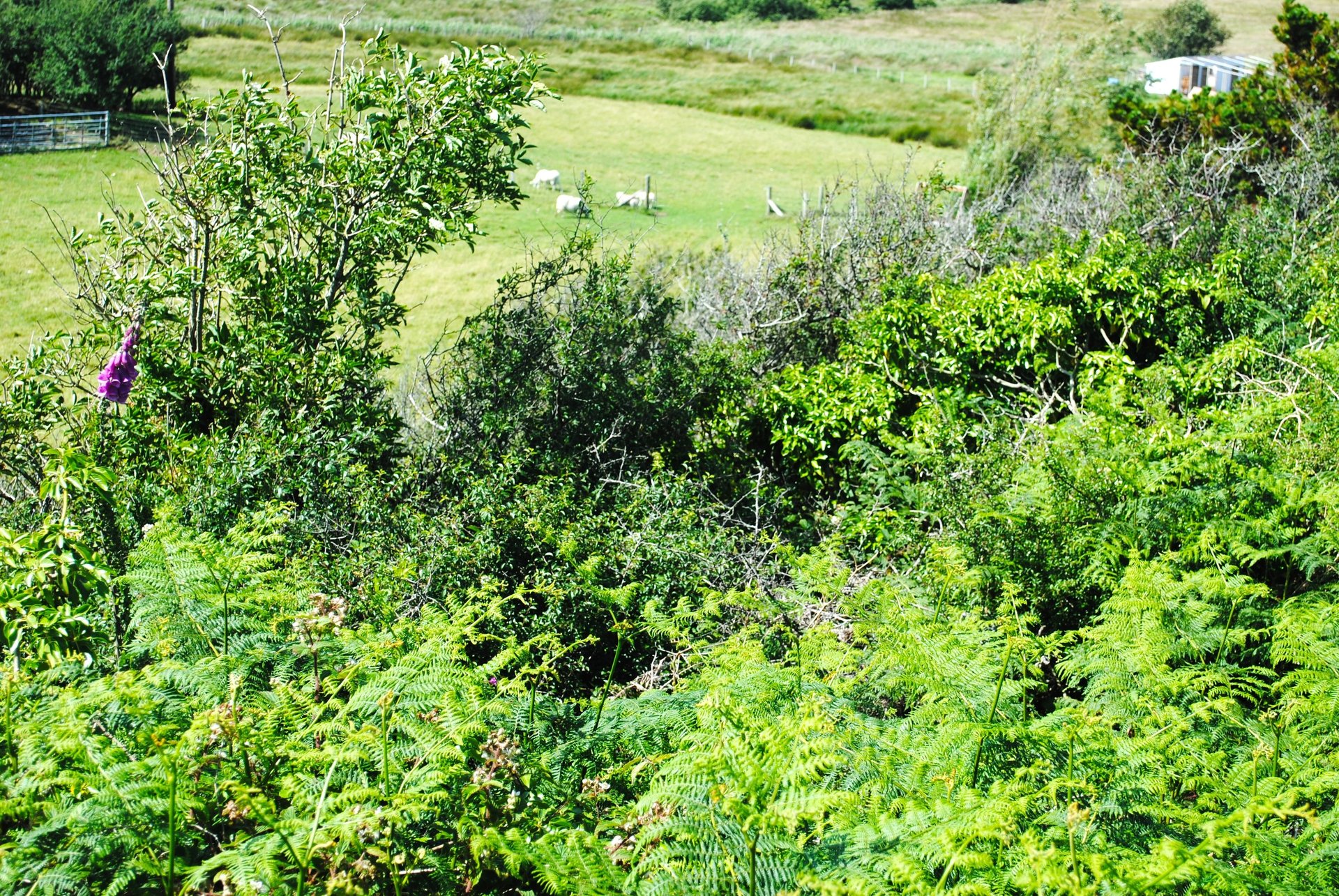 woman wearing yellow long-sleeved dress under white clouds and blue sky during daytime