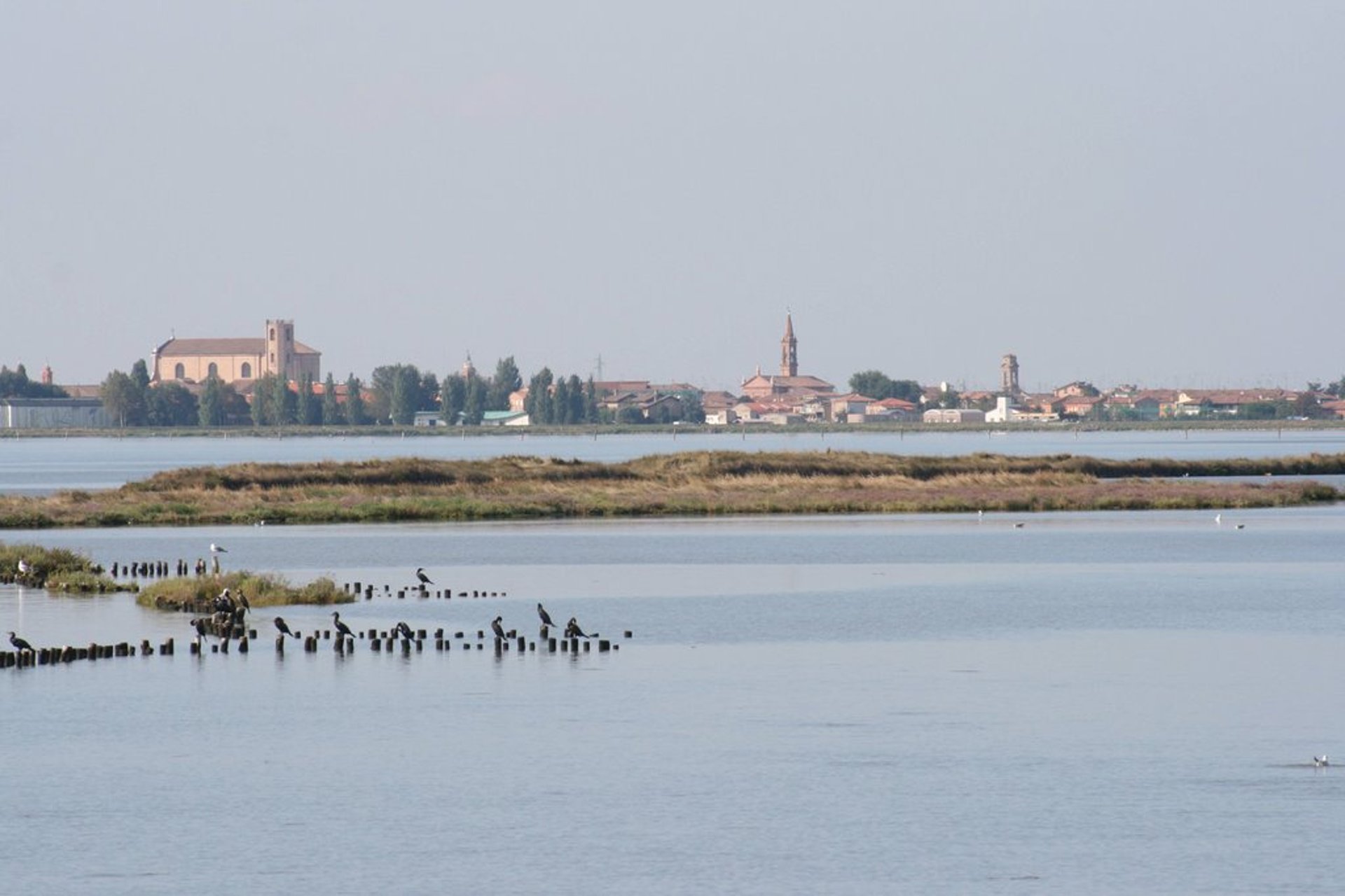 gray computer monitor