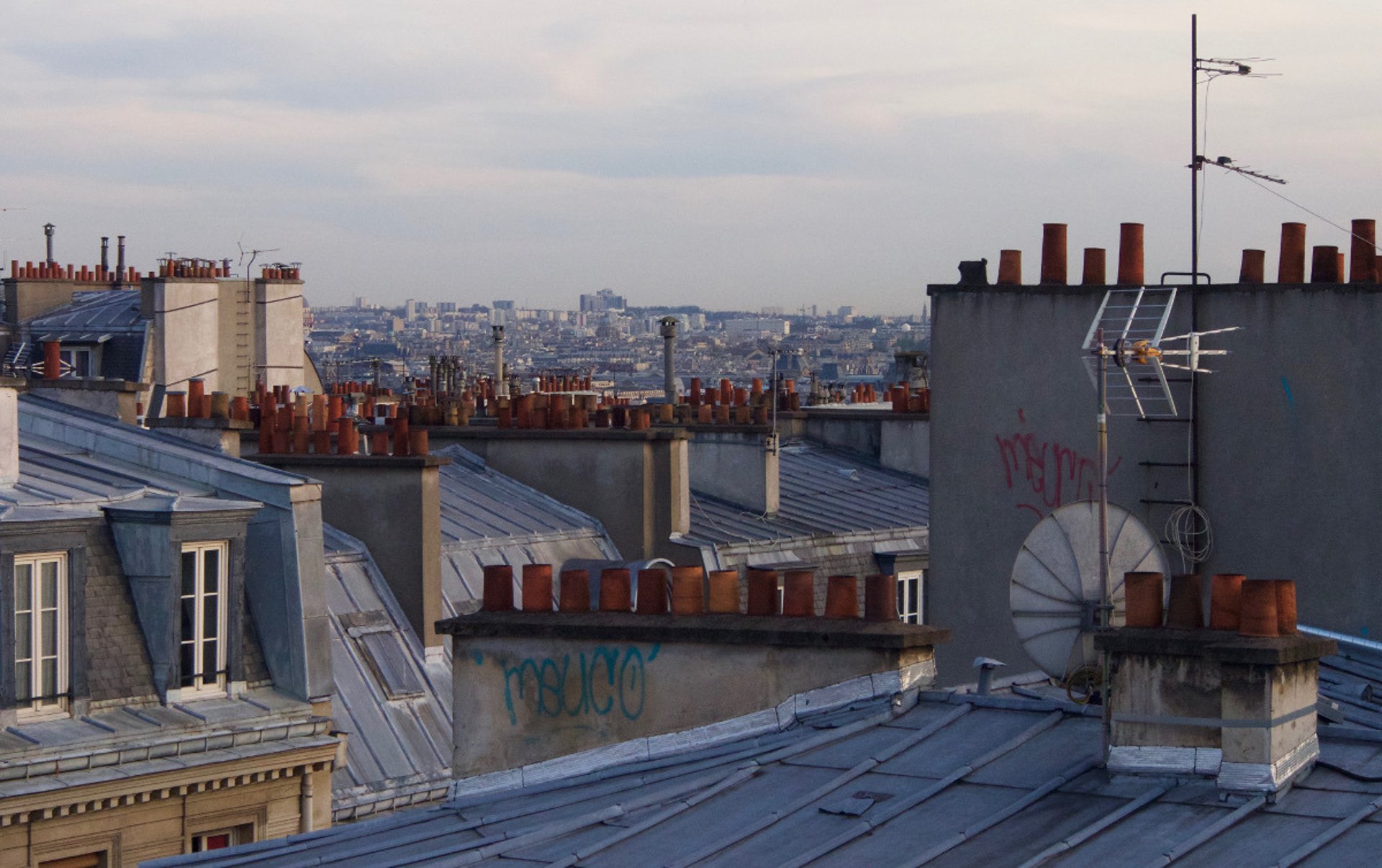 black berries on black surface