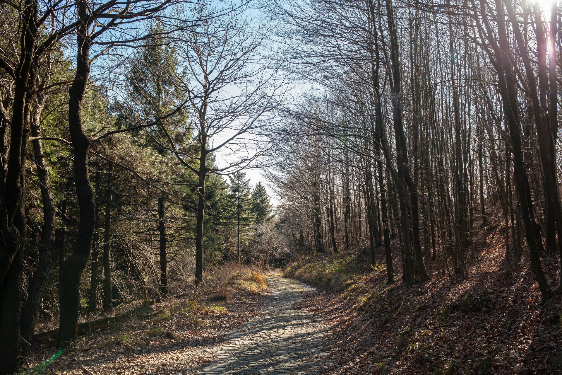 woman wearing yellow long-sleeved dress under white clouds and blue sky during daytime