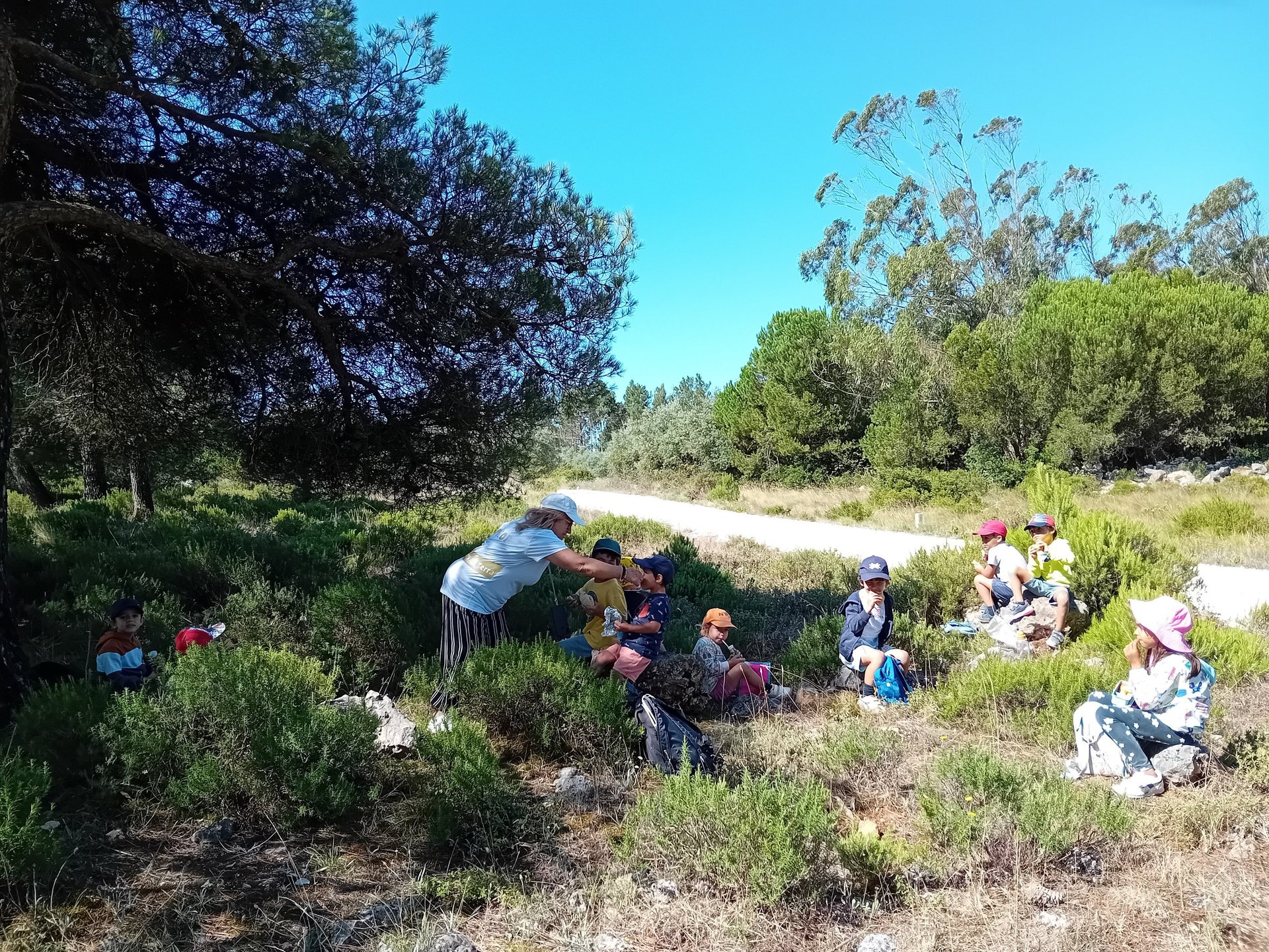 mountain range under blue sky