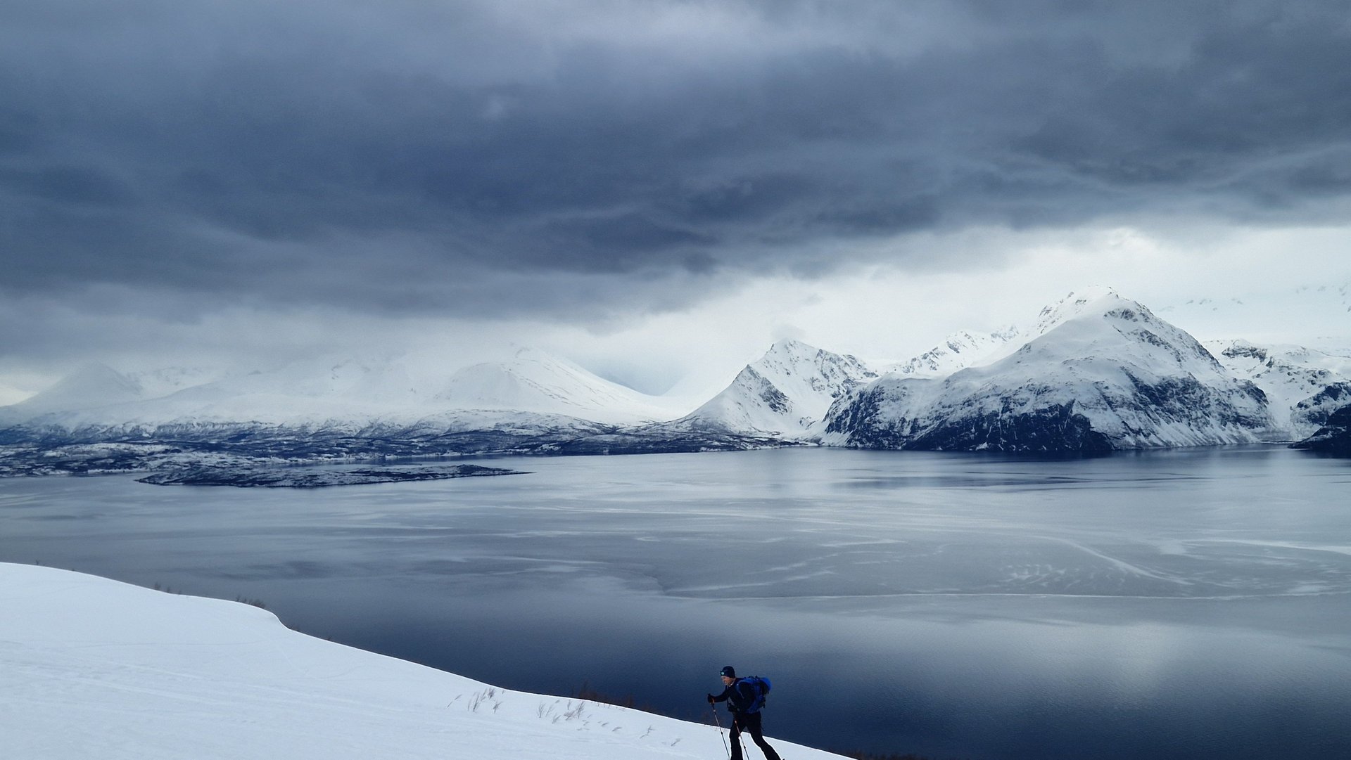 black blue and yellow textile