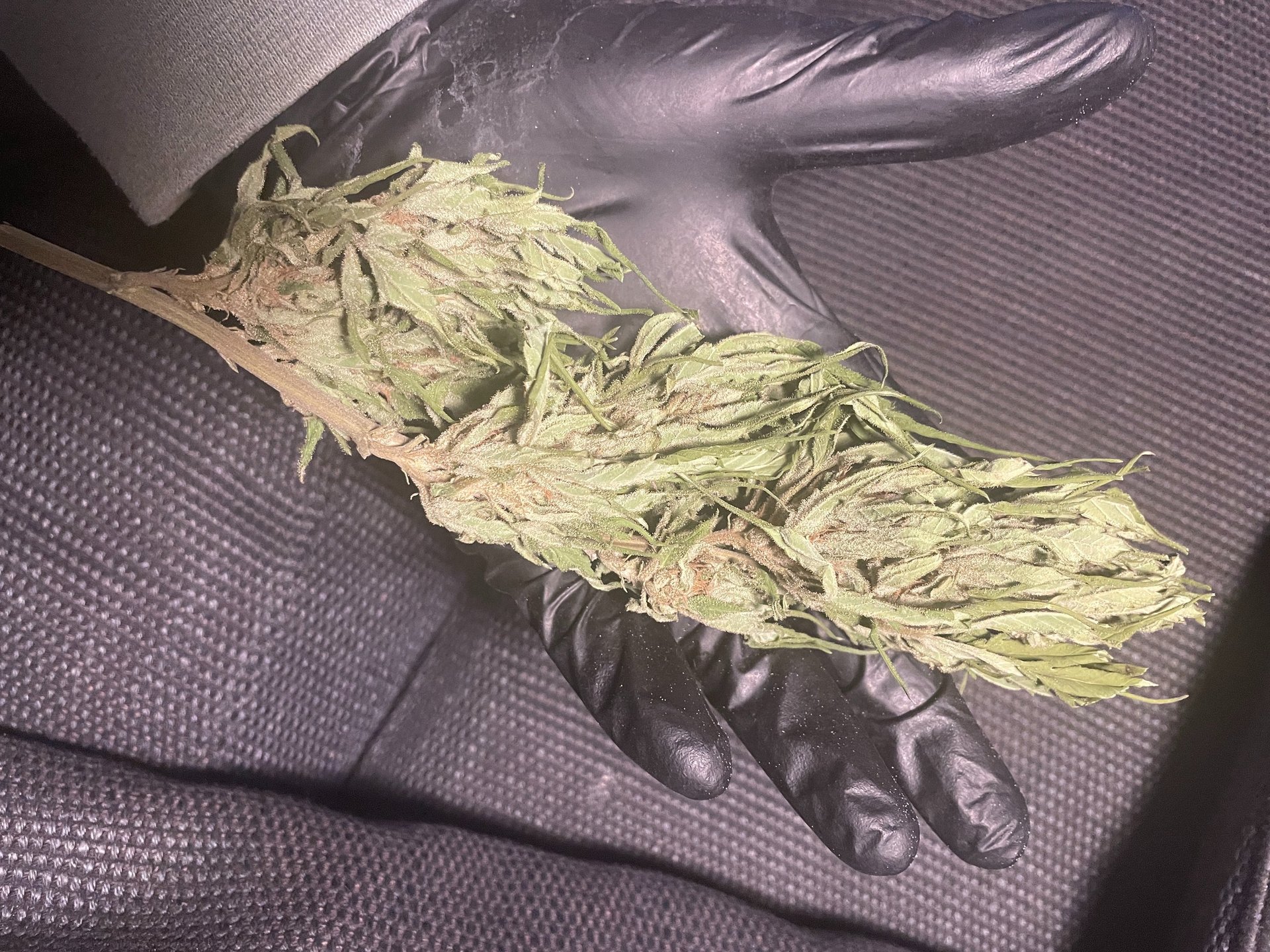 an abstract photo of a curved building with a blue sky in the background