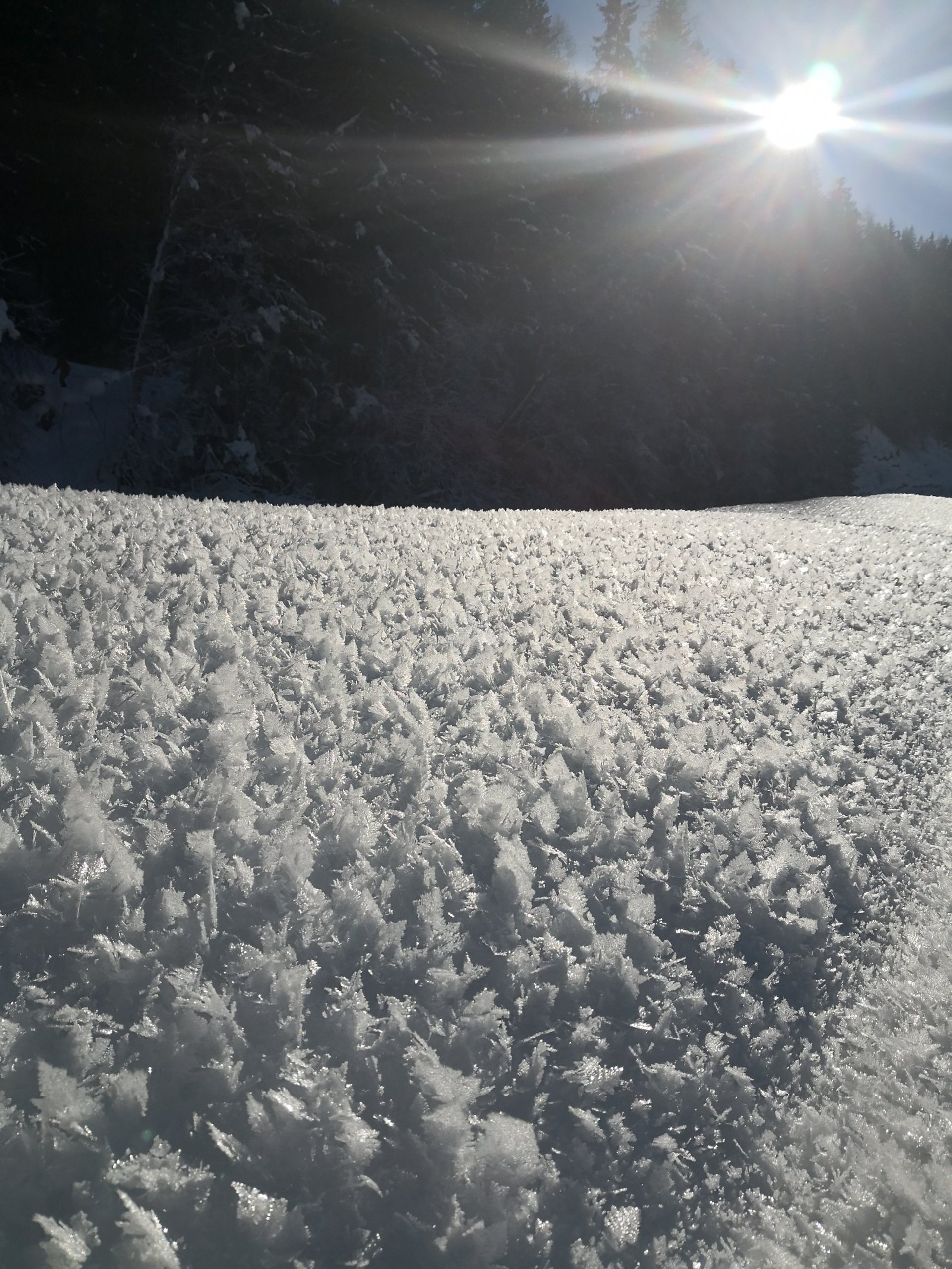 gray computer monitor