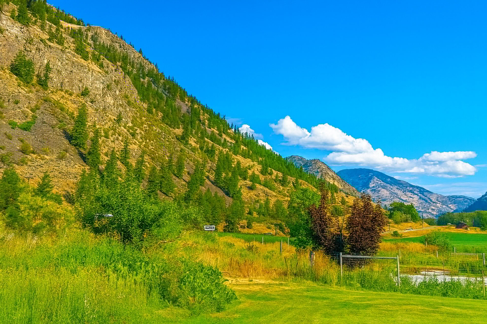 black blue and yellow textile