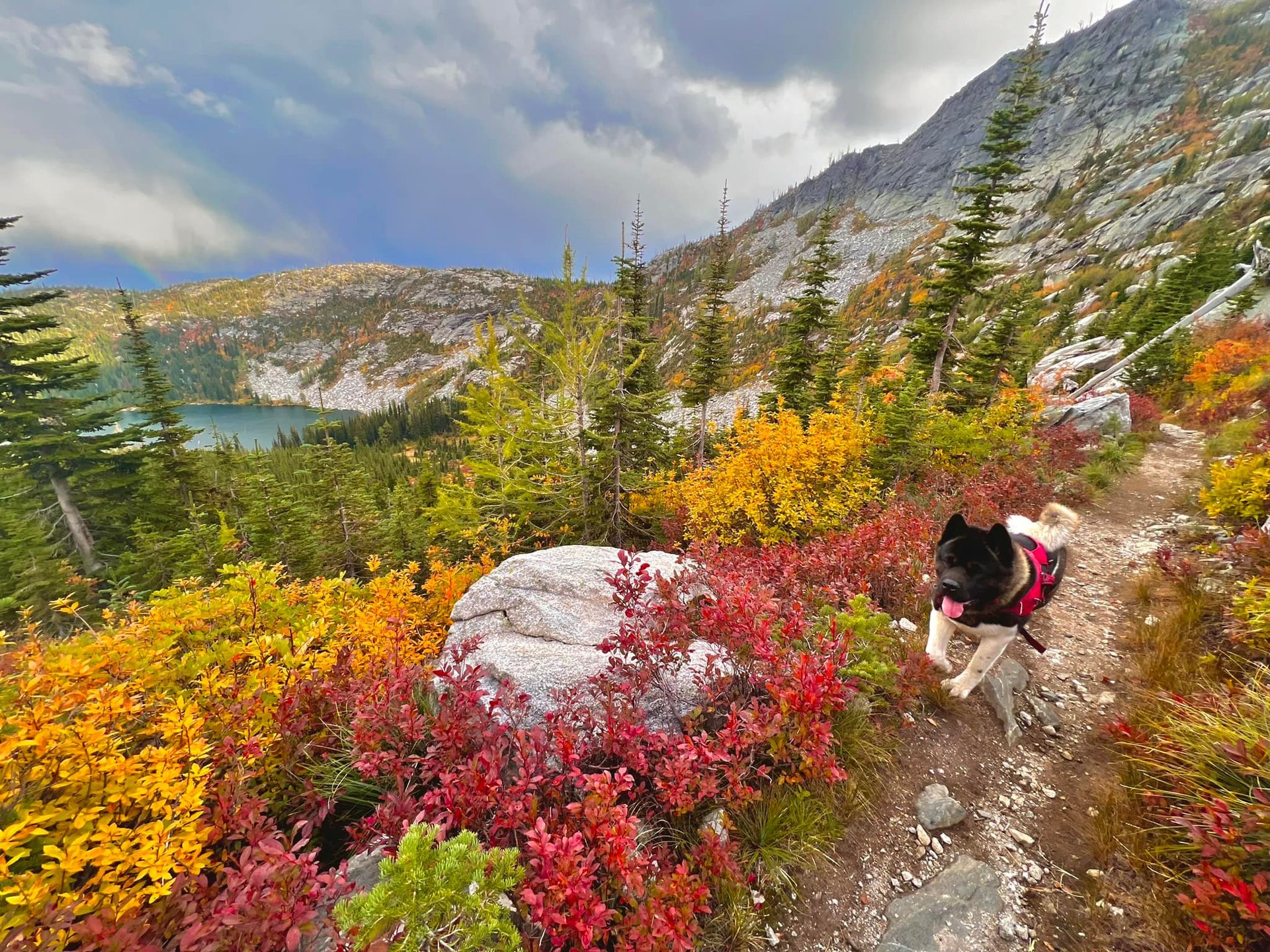 an abstract photo of a curved building with a blue sky in the background