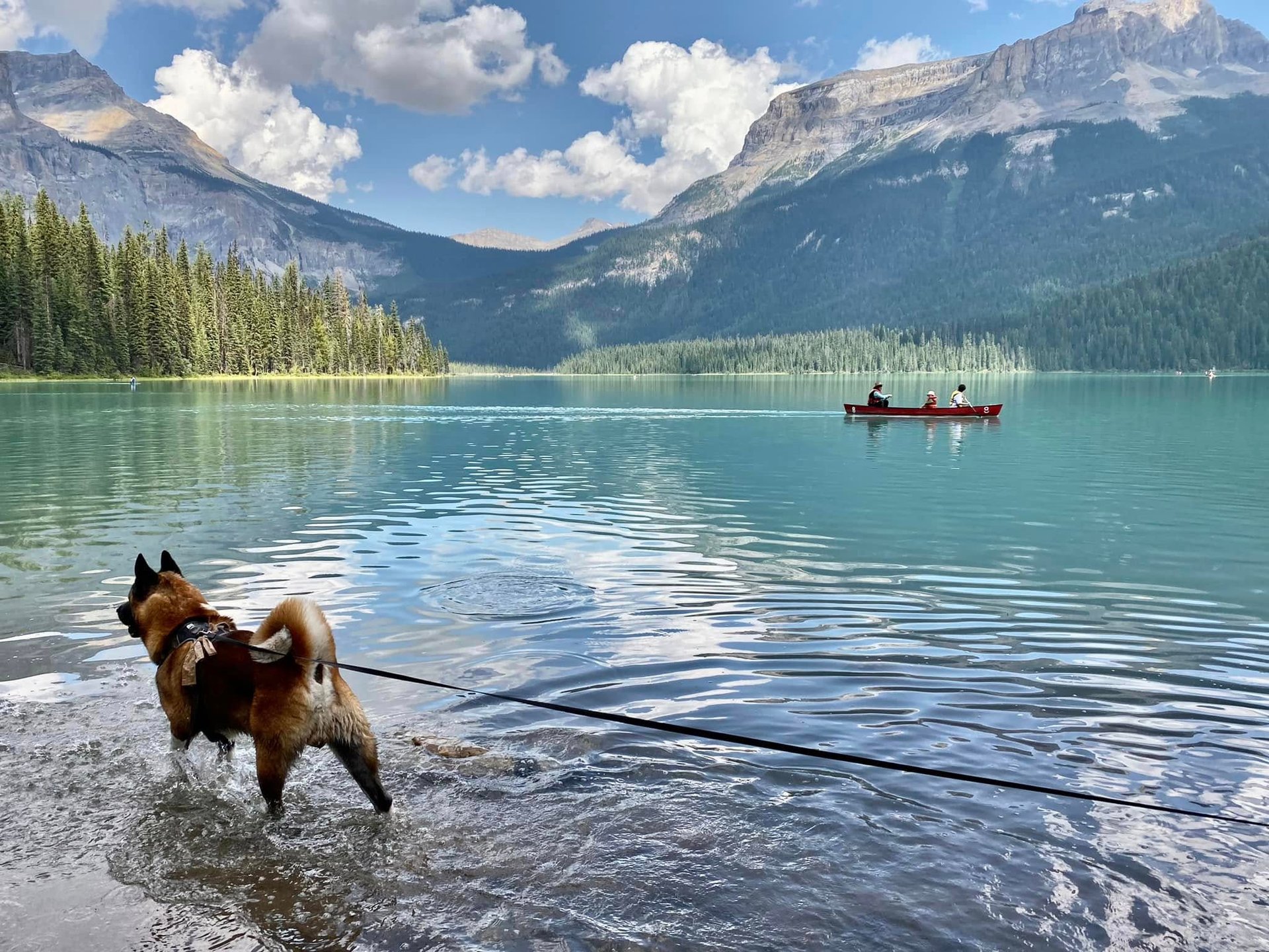 woman wearing yellow long-sleeved dress under white clouds and blue sky during daytime