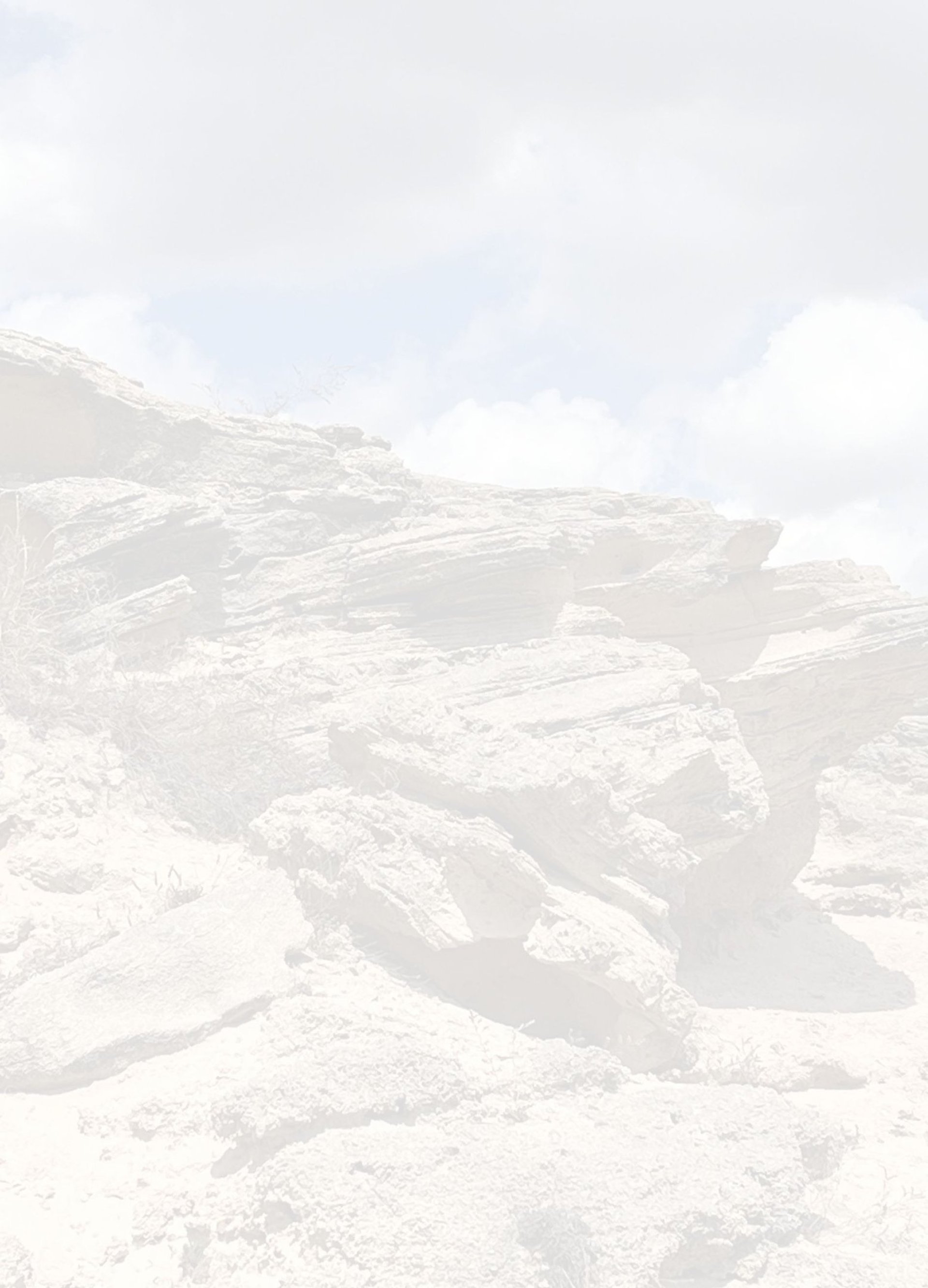 an aerial view of a city and a body of water