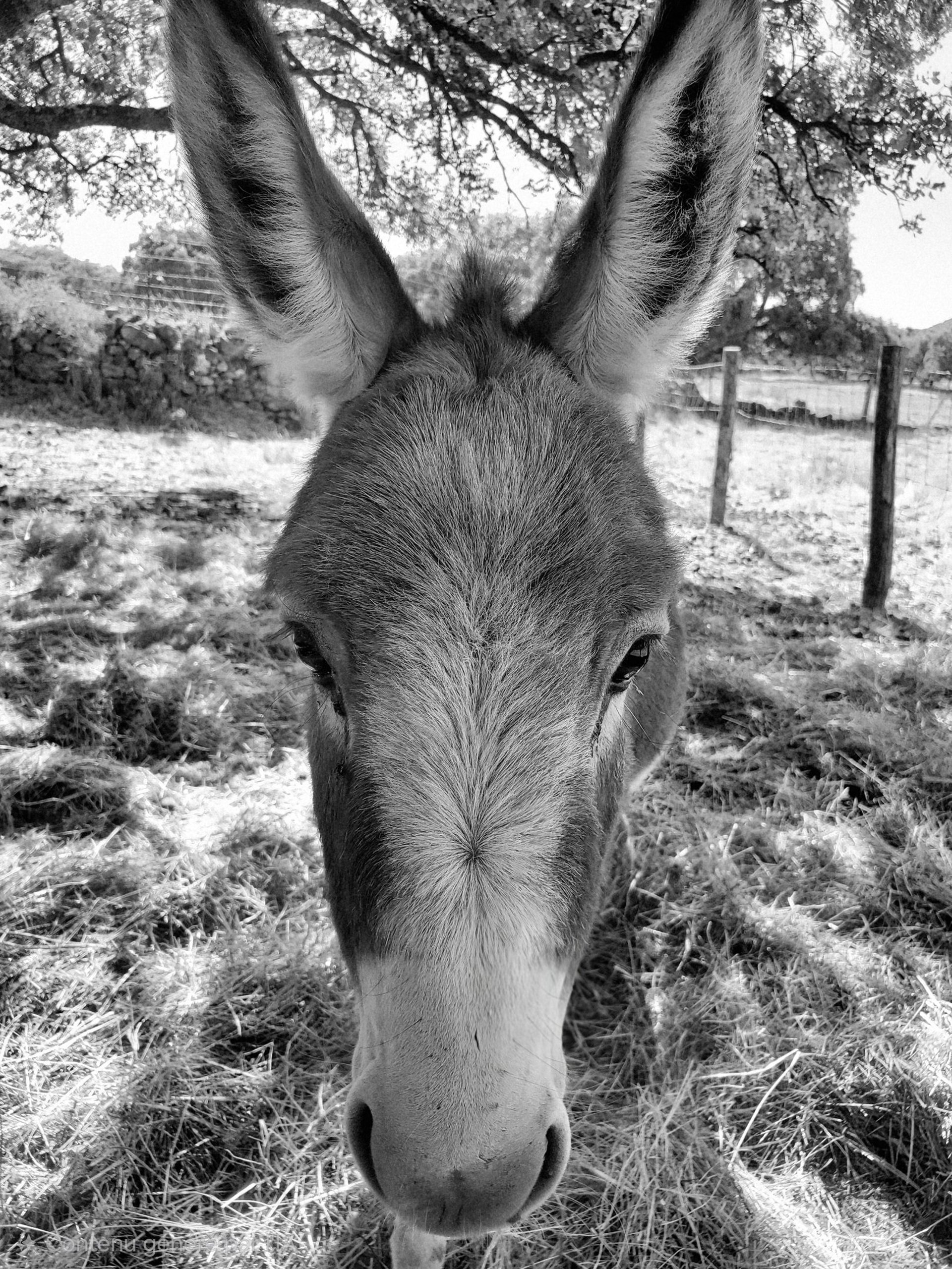 woman wearing yellow long-sleeved dress under white clouds and blue sky during daytime