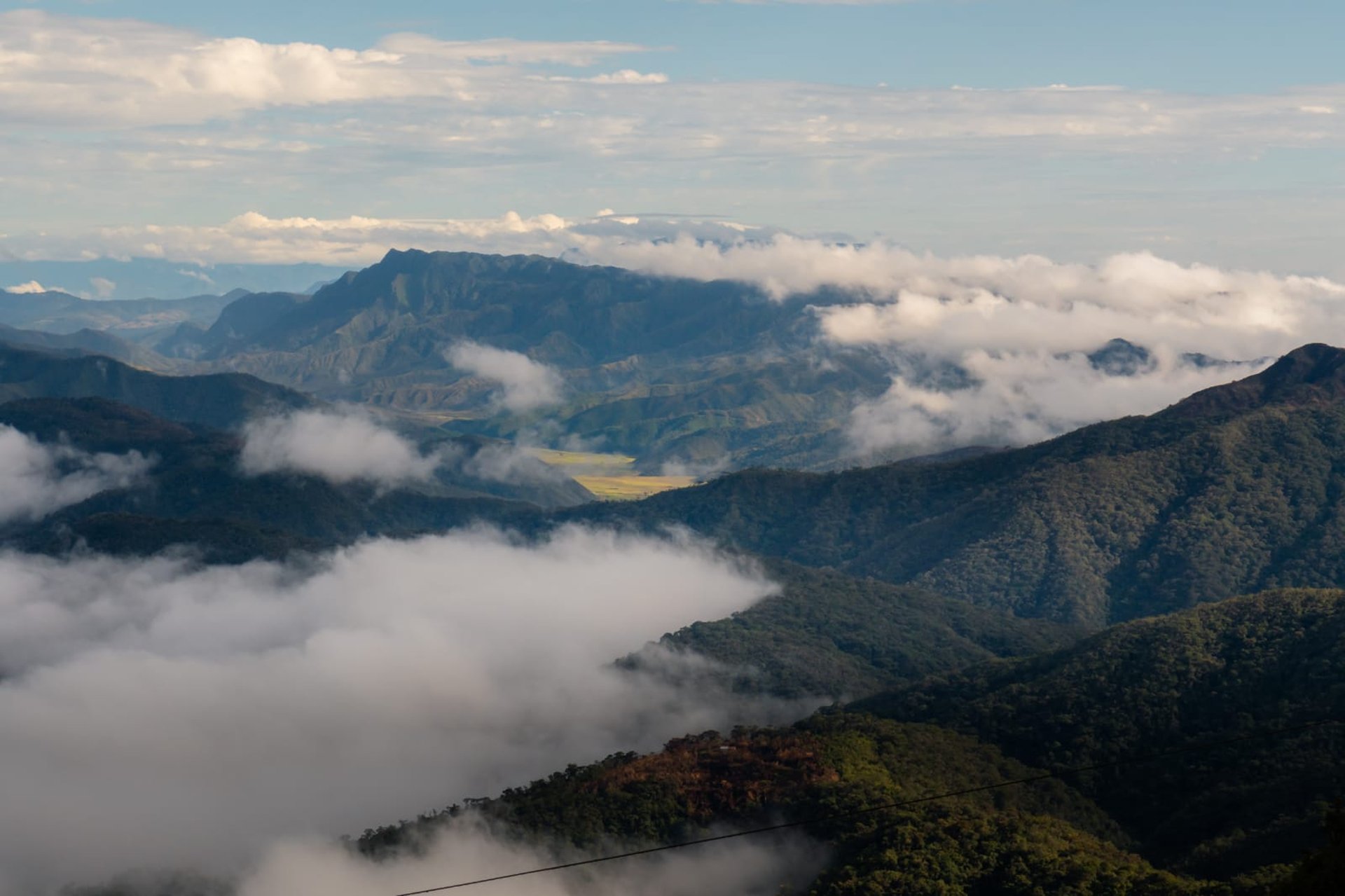 an abstract photo of a curved building with a blue sky in the background