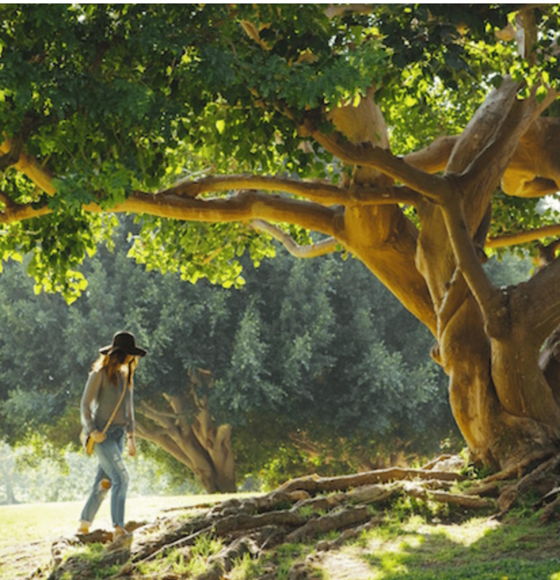 an abstract photo of a curved building with a blue sky in the background