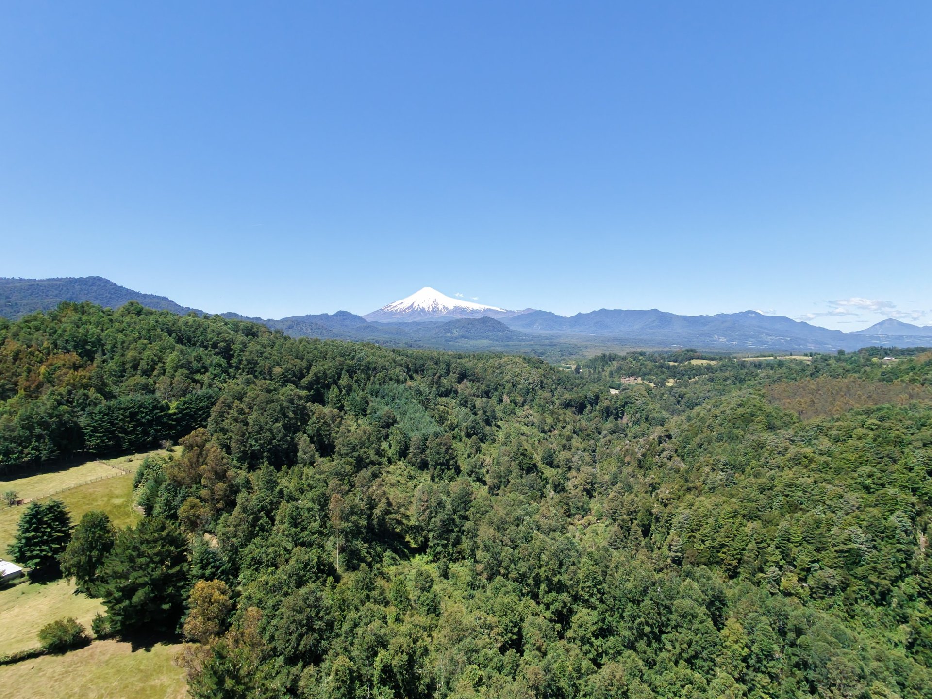 woman wearing yellow long-sleeved dress under white clouds and blue sky during daytime