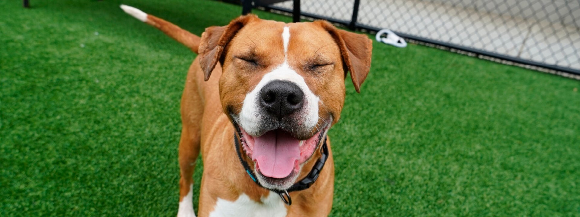 gray computer monitor