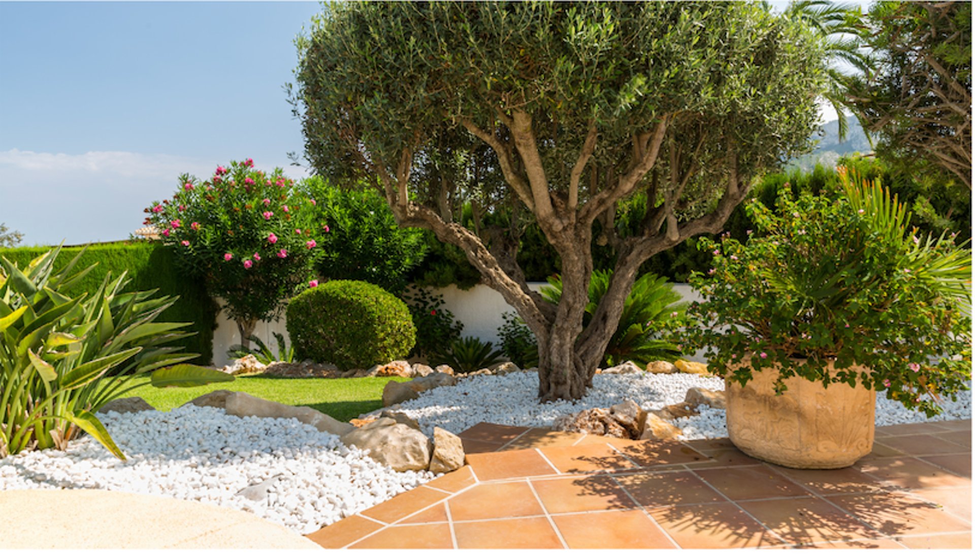 empresa de construcción de jardines en Sotogrande