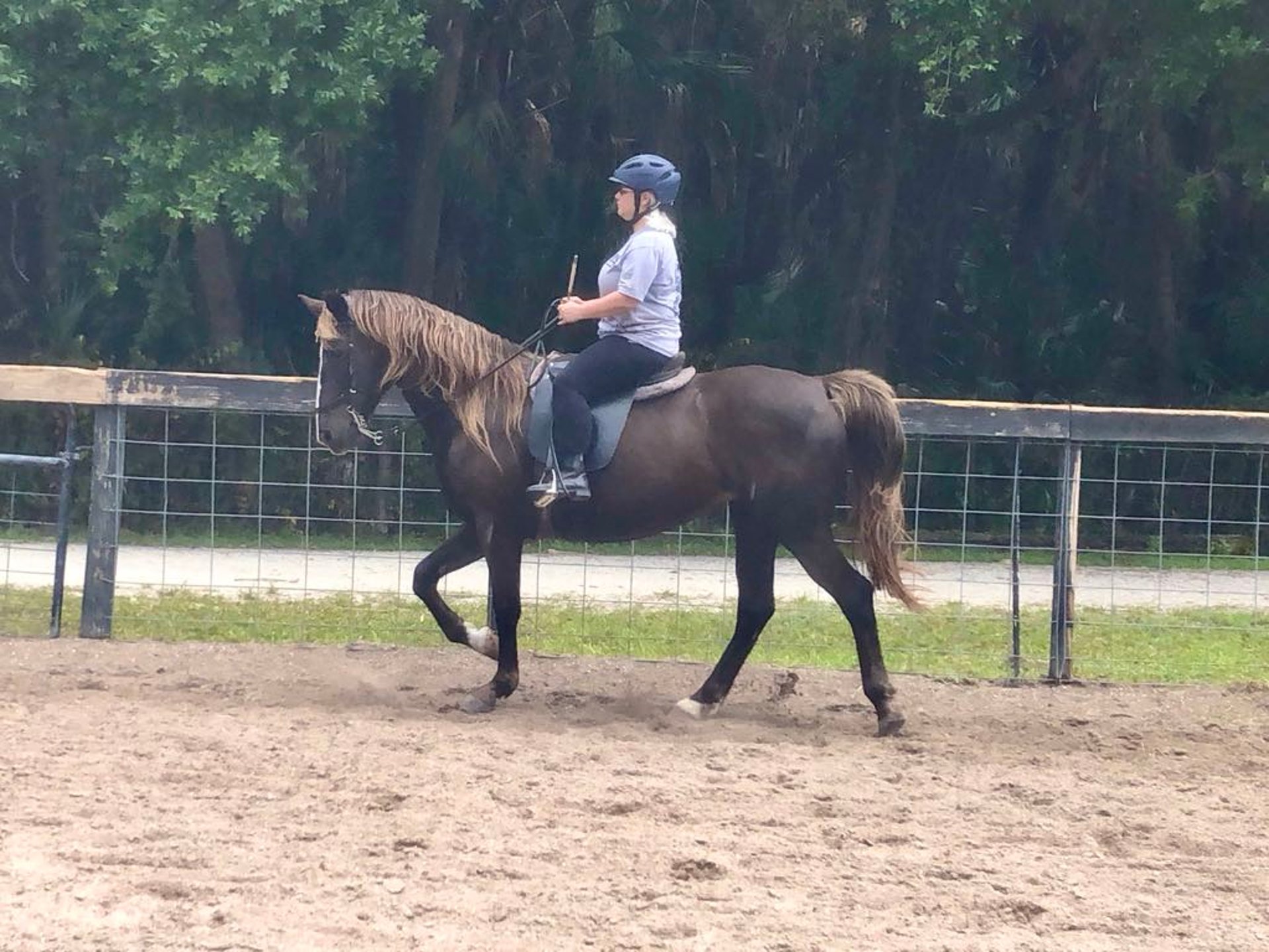 grayscale photography of silhouette of man riding horse at mountain with cumulus clouds as background