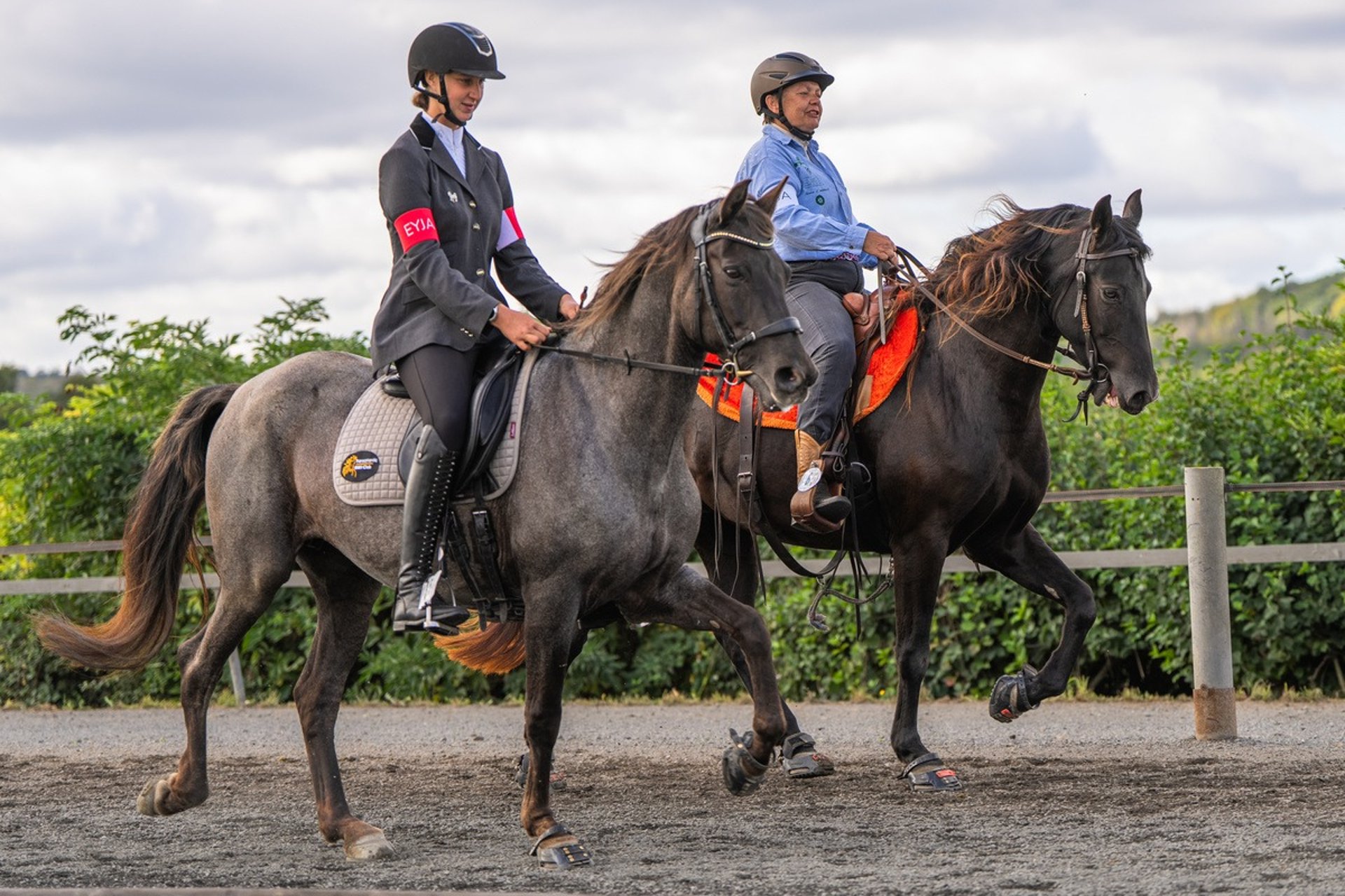 man riding on horse jumping over hedge