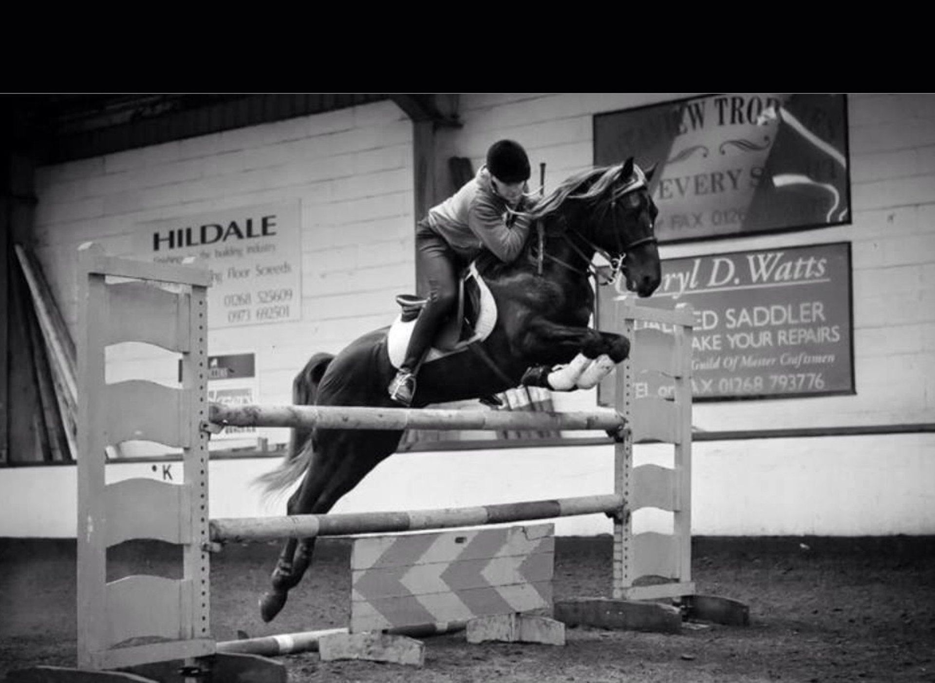 man riding on back of horse