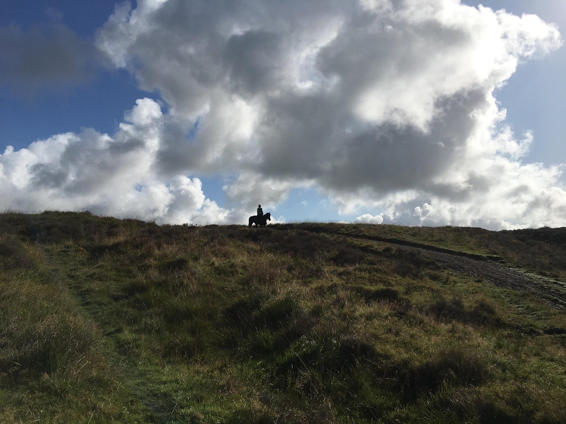 silhouette photography of person riding horse