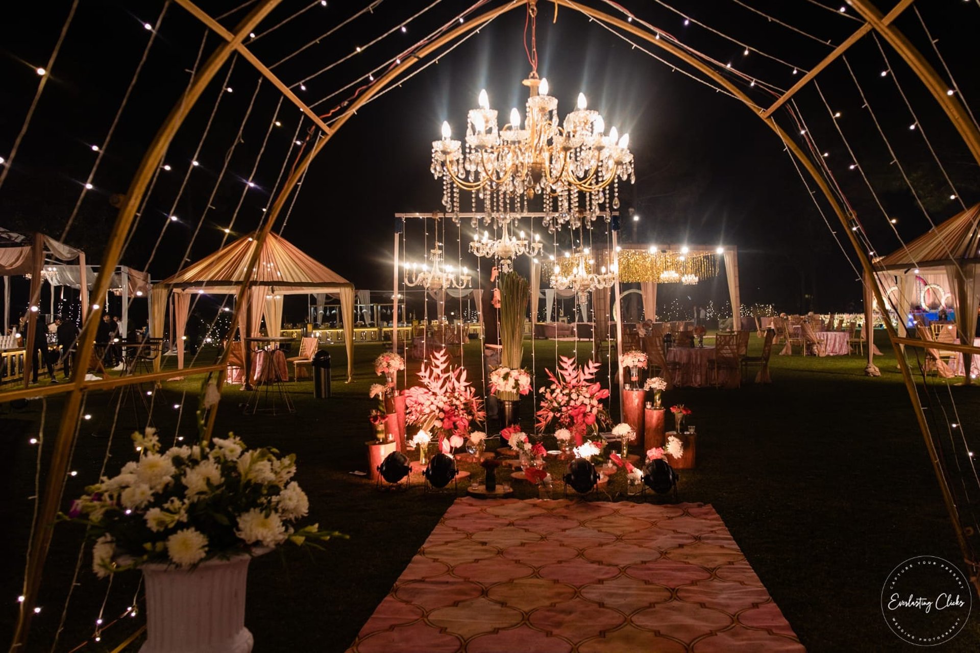 people raising wine glass in selective focus photography
