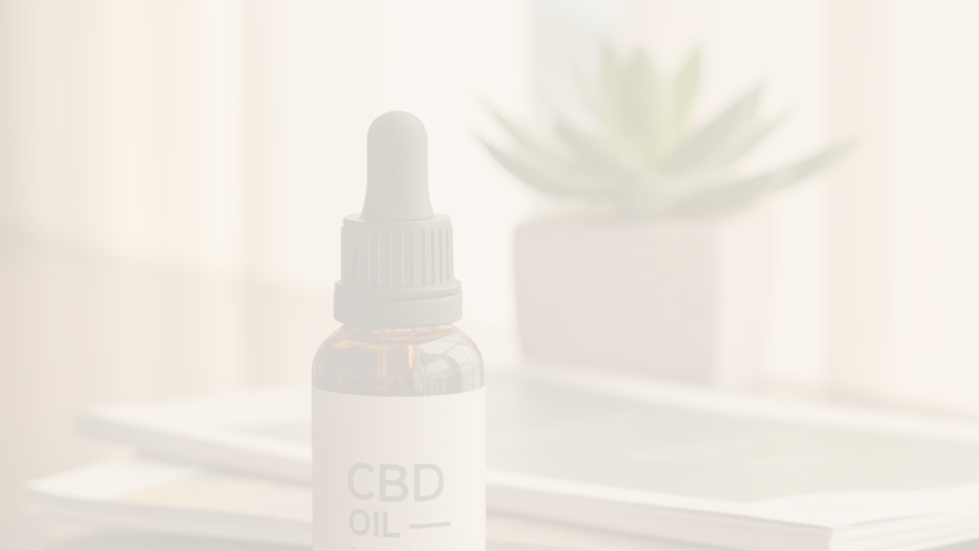 black and brown leather padded tub sofa