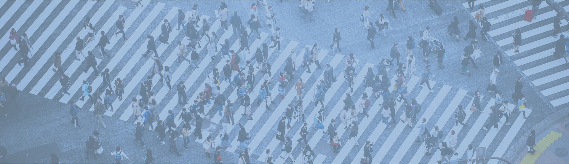 aerial view of people walking on raod