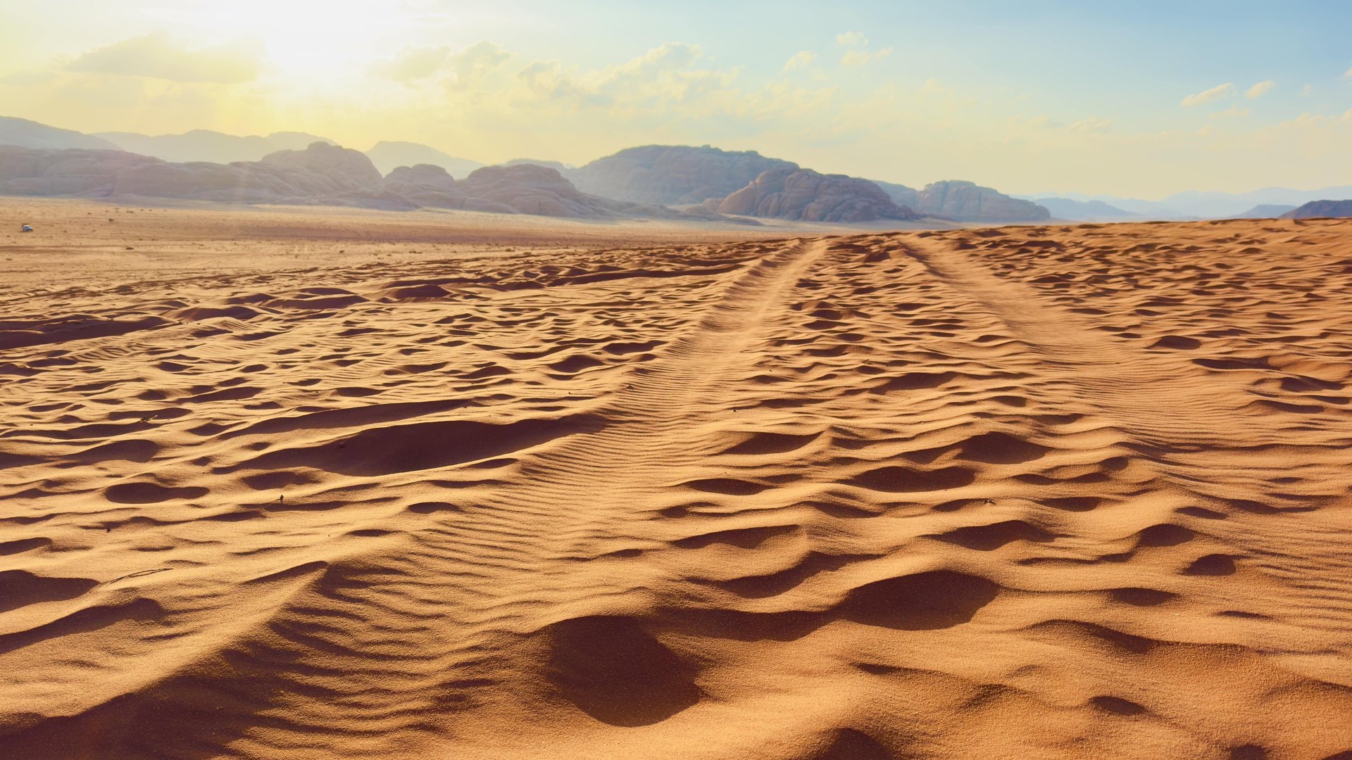 Voyage en Jordanie avec Horizon Jordanie : explorez Petra, le désert du Wadi Rum et la mer Morte