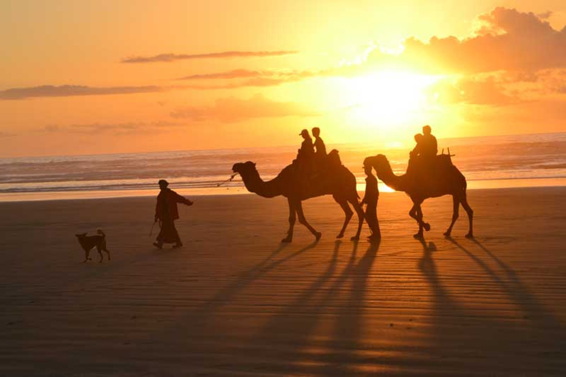 man riding motorcycle on brown sand